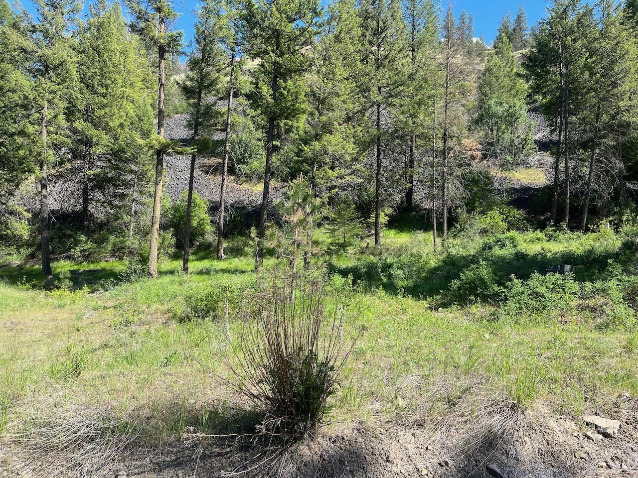 31270 Blue Grouse E Dr - Photo 10
