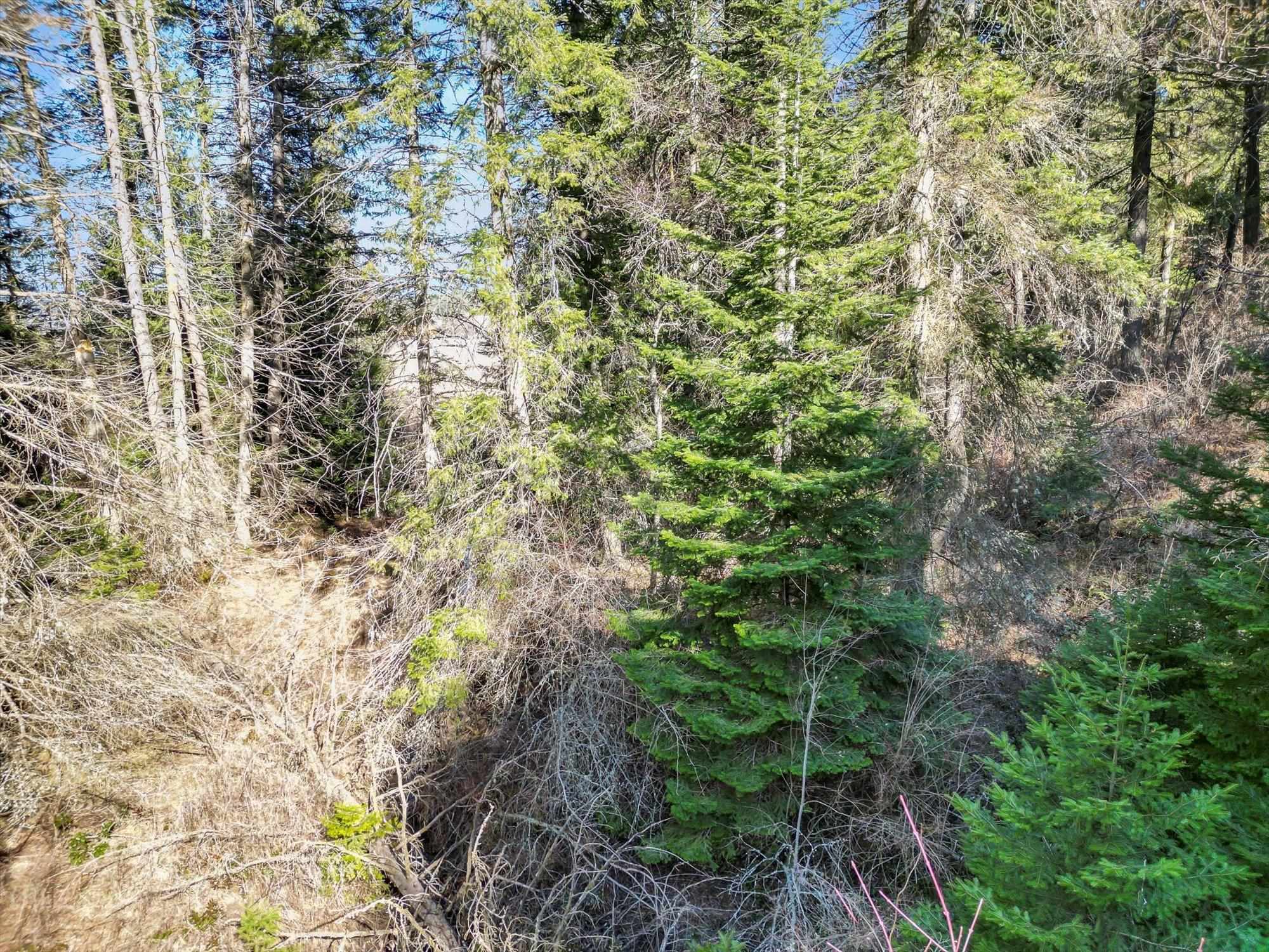 000 Skok Rd - Photo 27