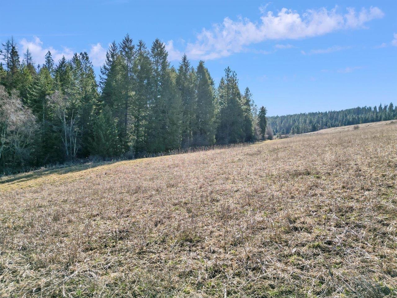 000 Skok Rd - Photo 24