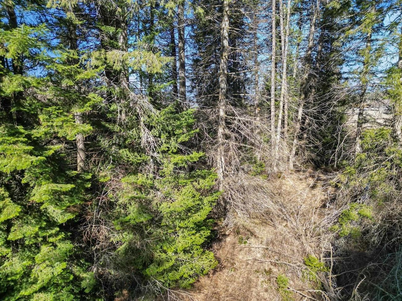000 Skok Rd - Photo 26