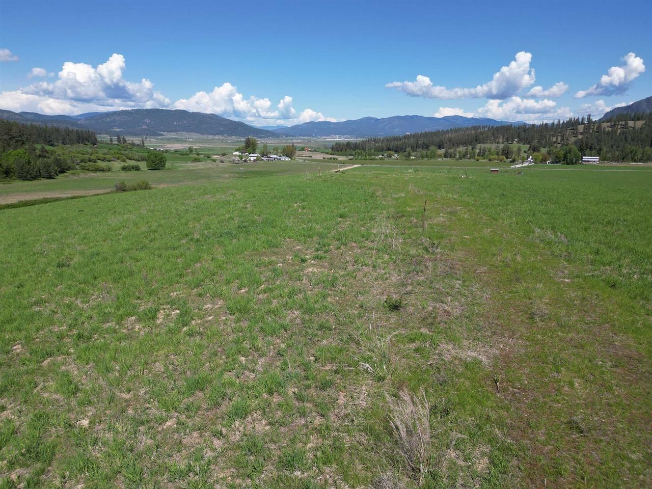 000 Skok Rd - Photo 4