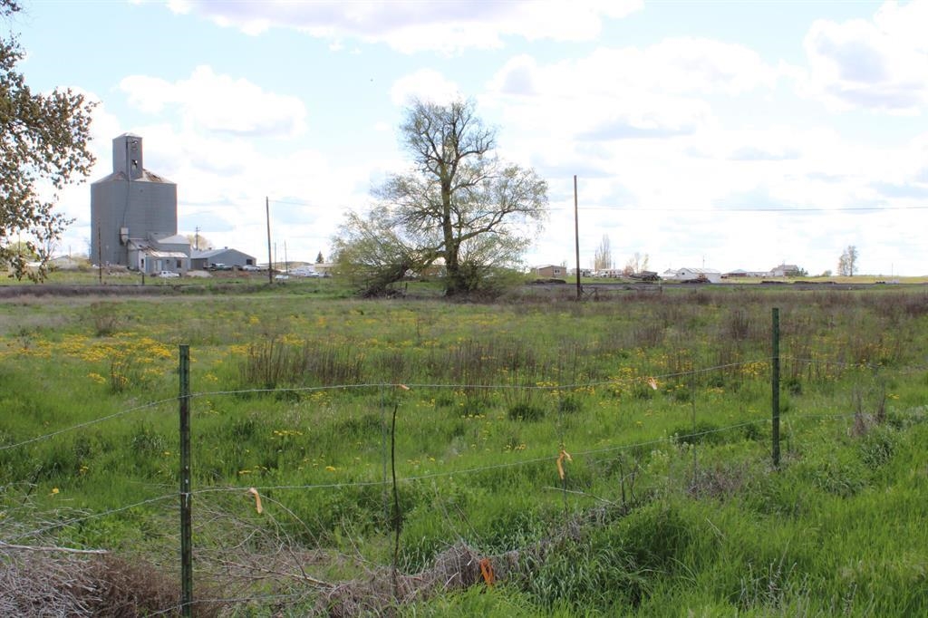 TBD Alder St - Photo 3