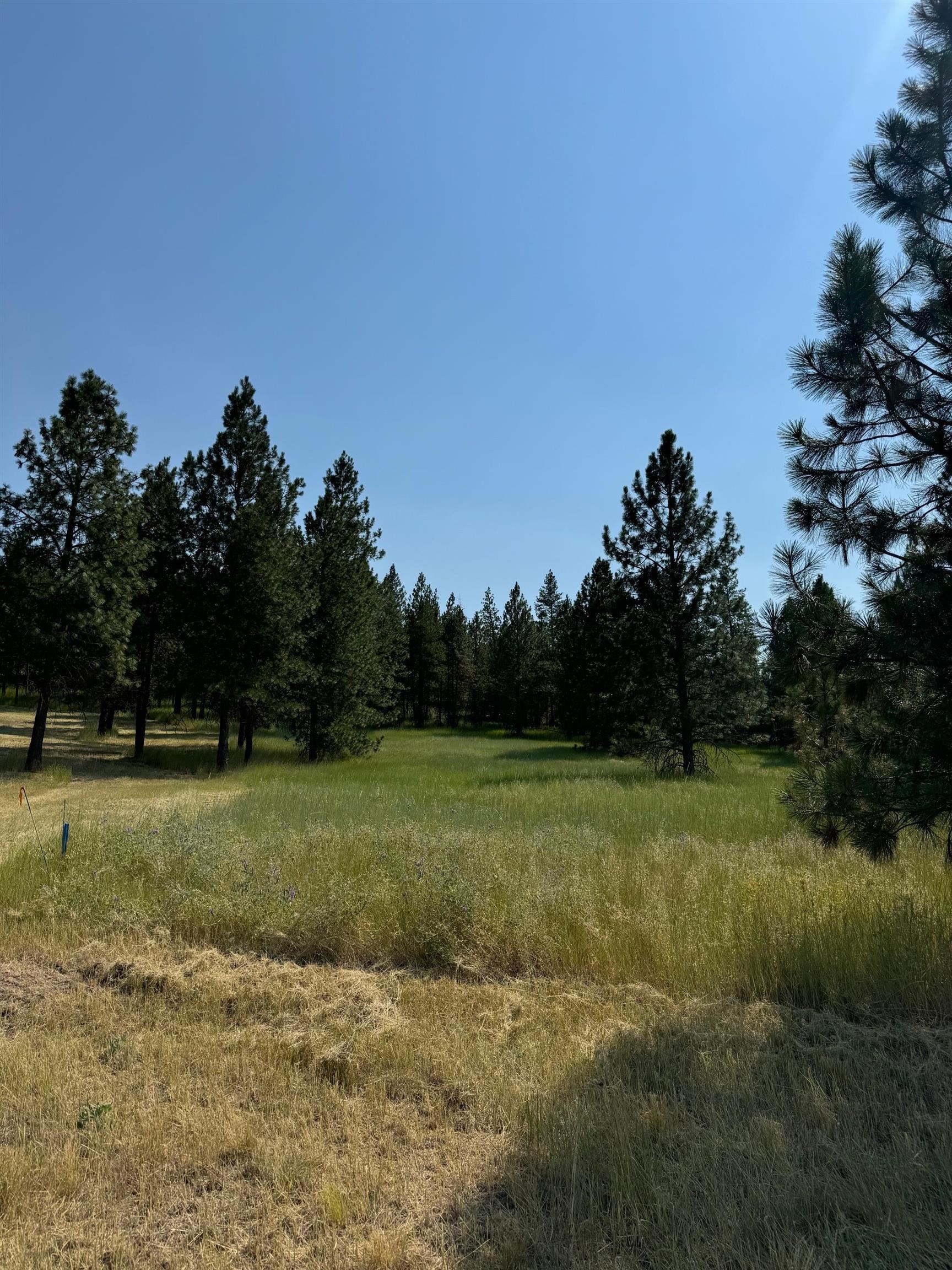 498XX E Forest Dr - Photo 1