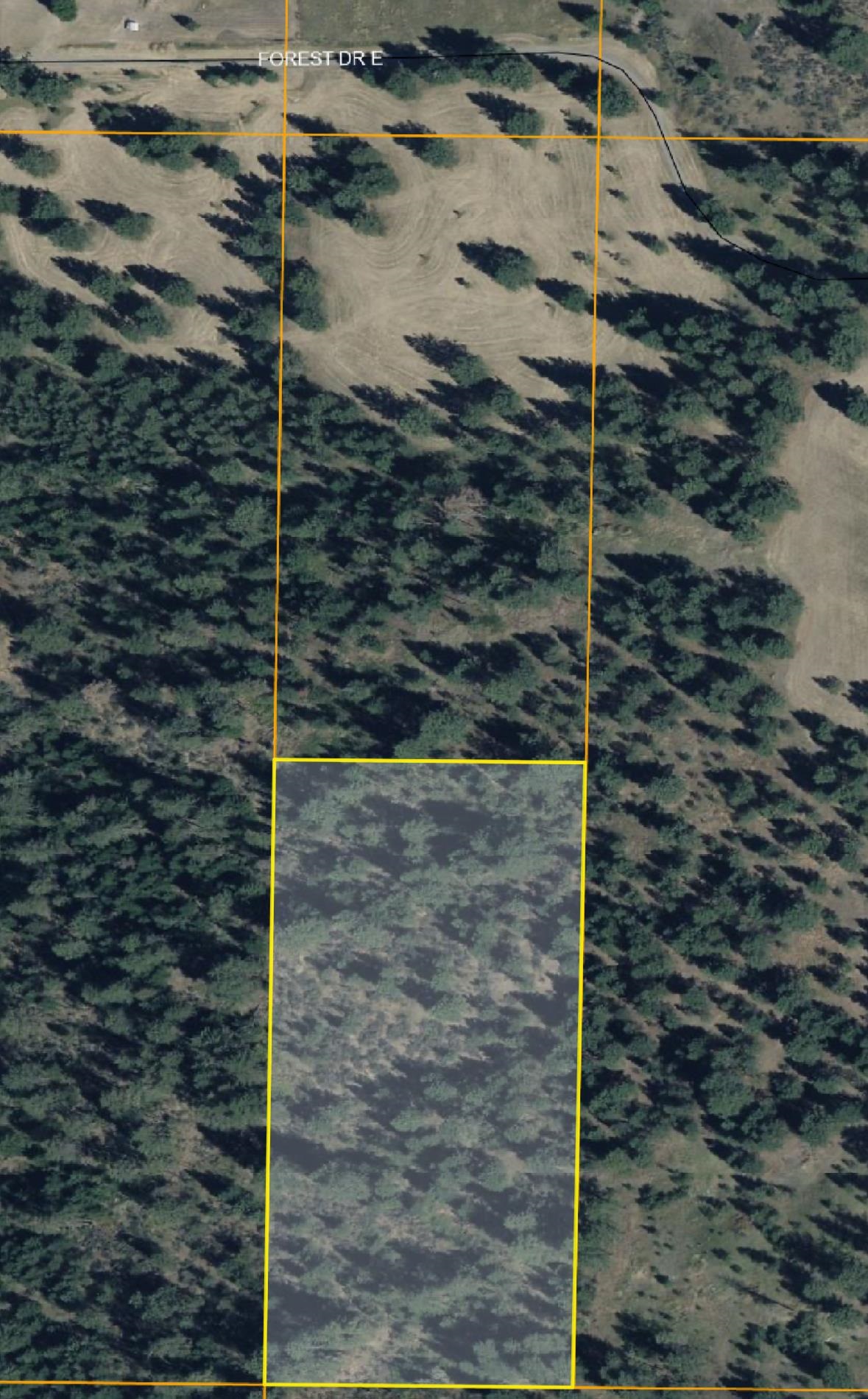 498XX E Forest Dr - Photo 2