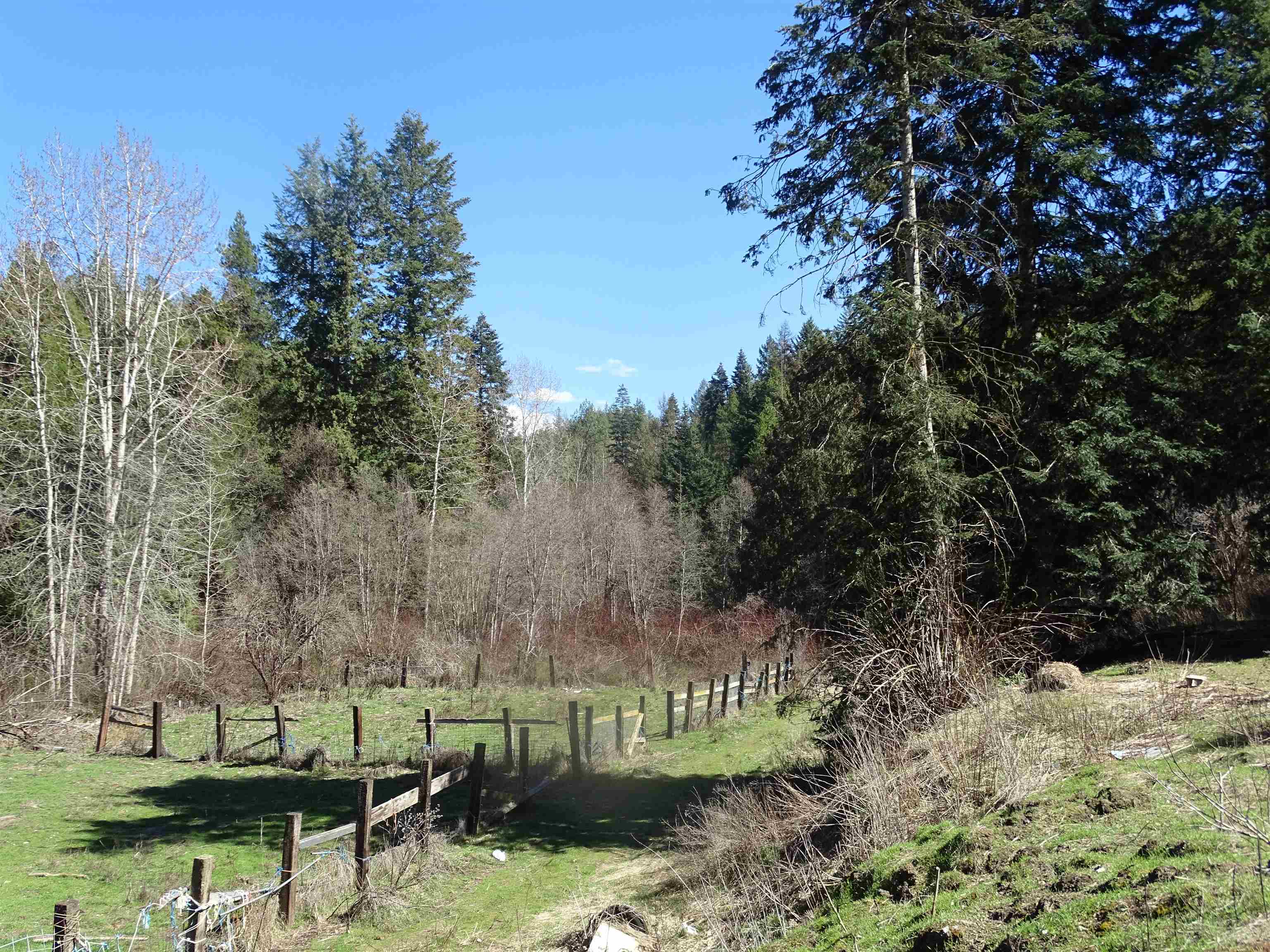 17208 E Blanchard Rd - Photo 11