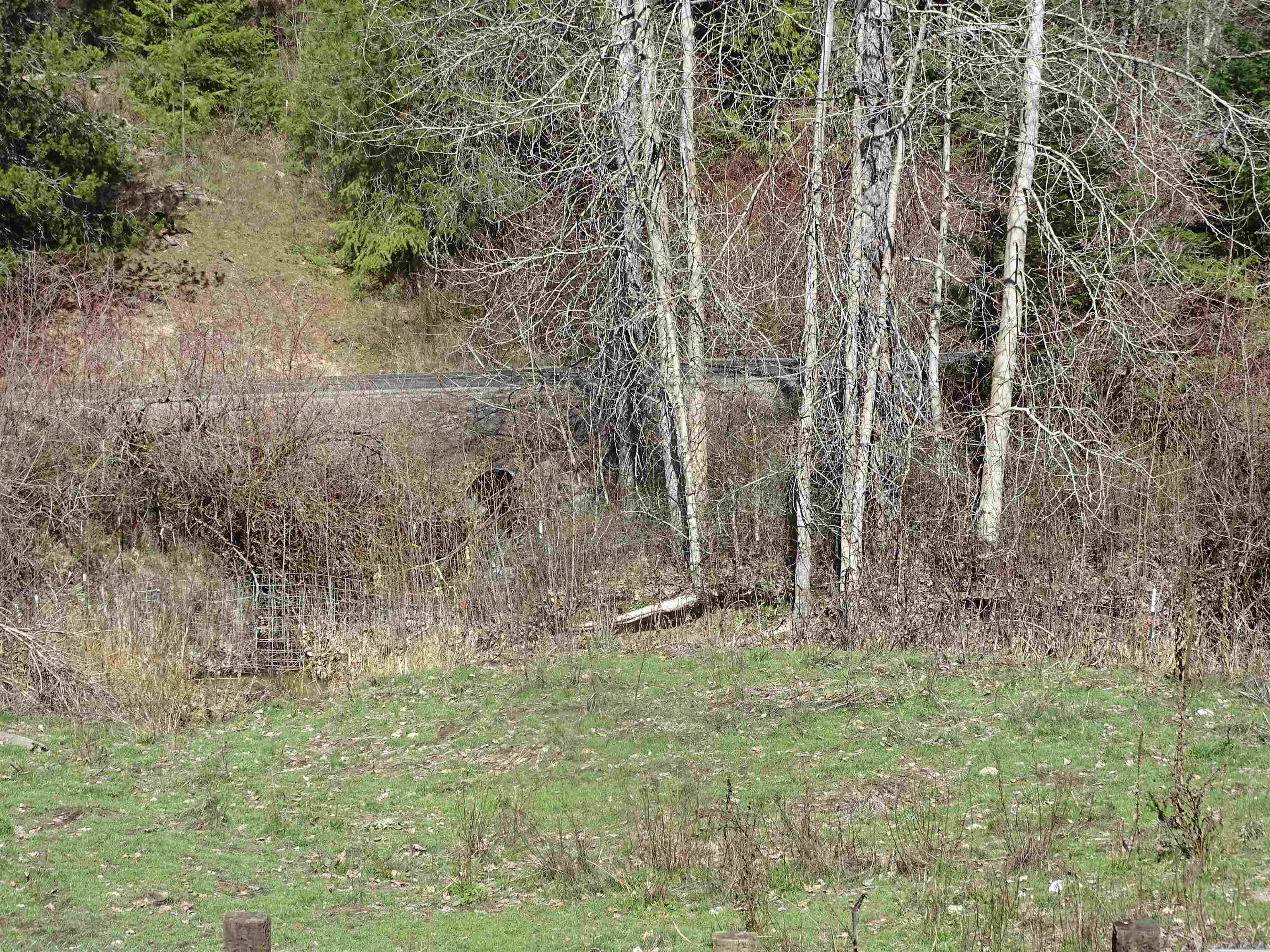17208 E Blanchard Rd - Photo 12