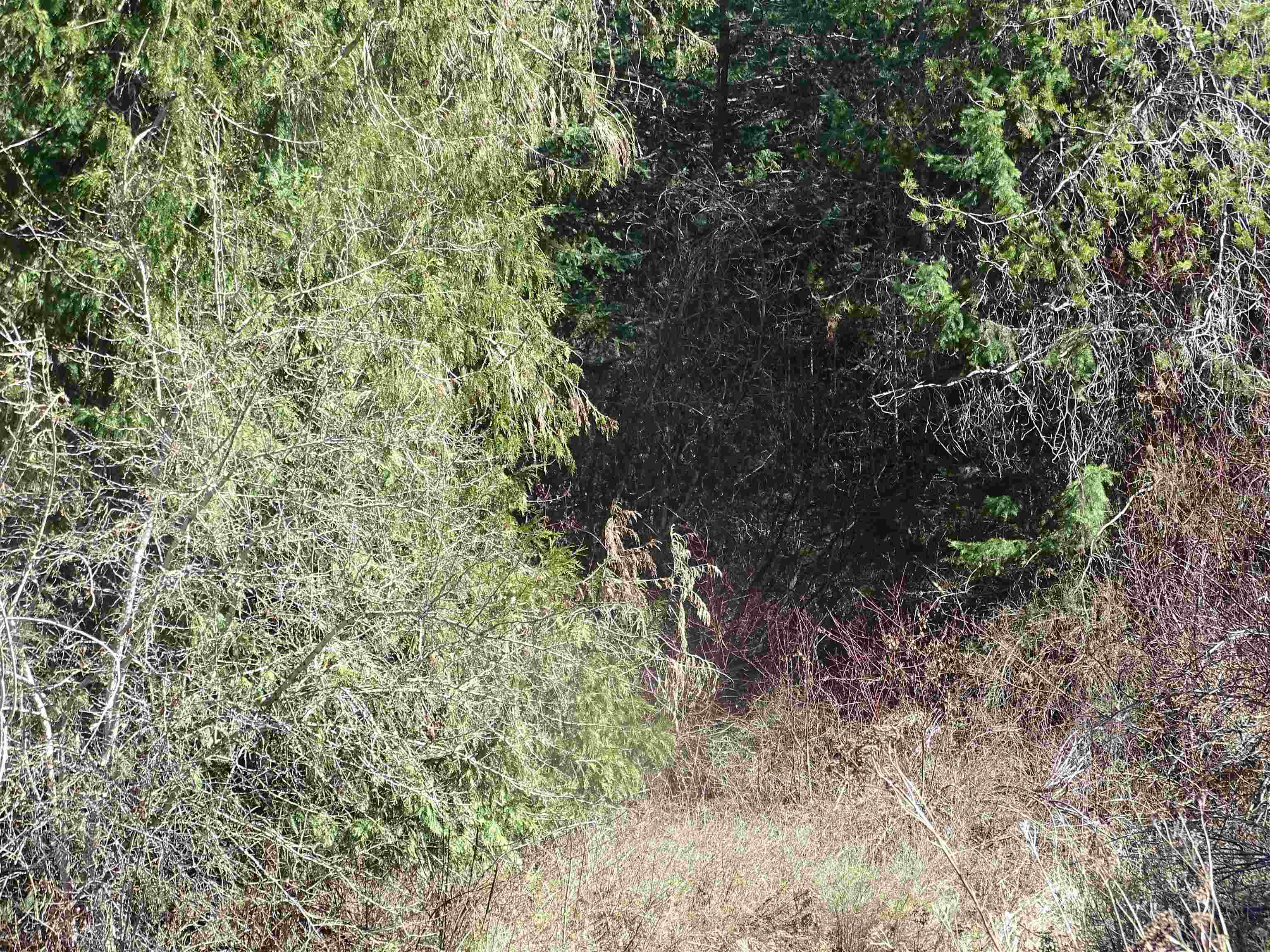 17208 E Blanchard Rd - Photo 13