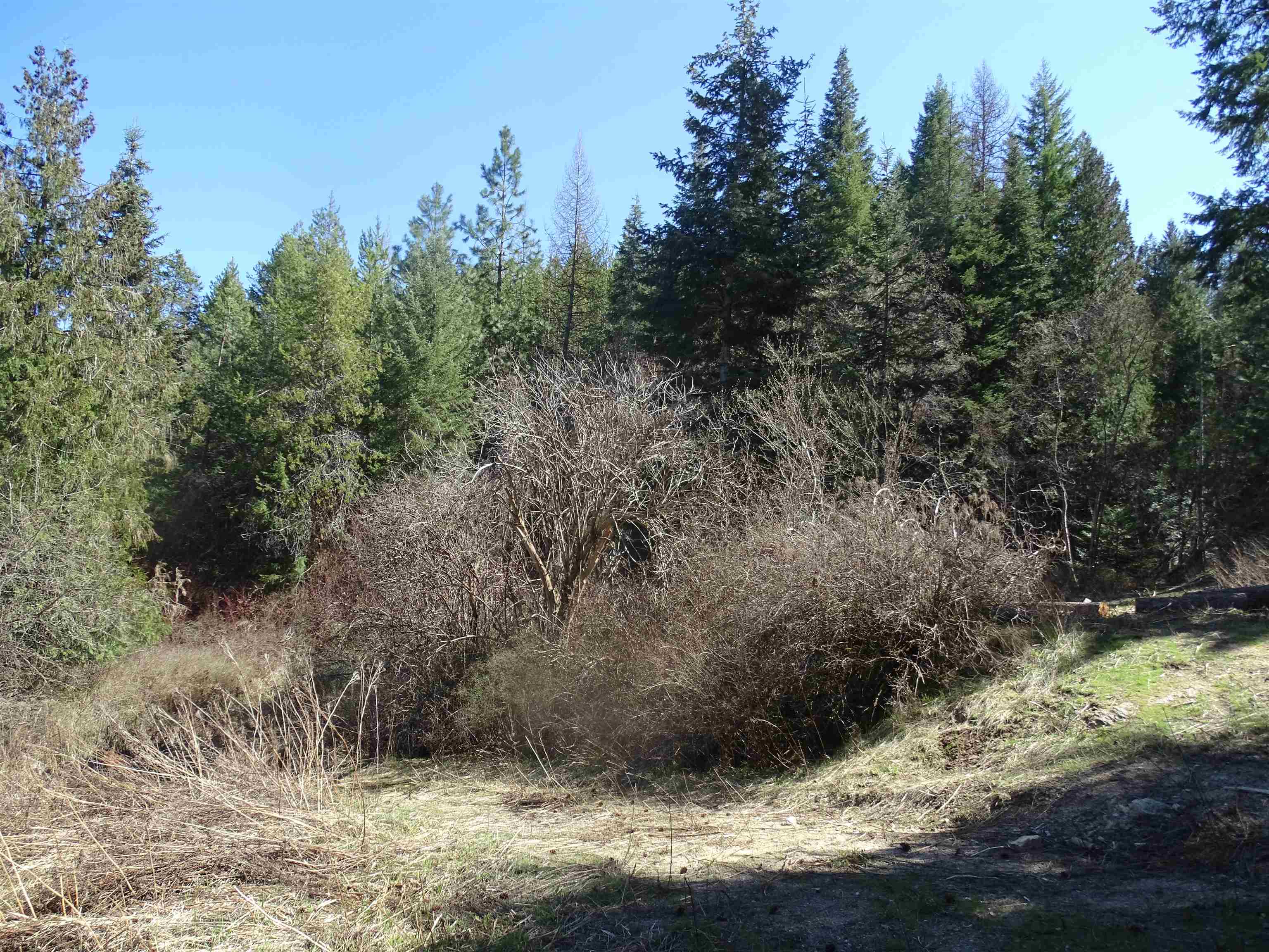 17208 E Blanchard Rd - Photo 14