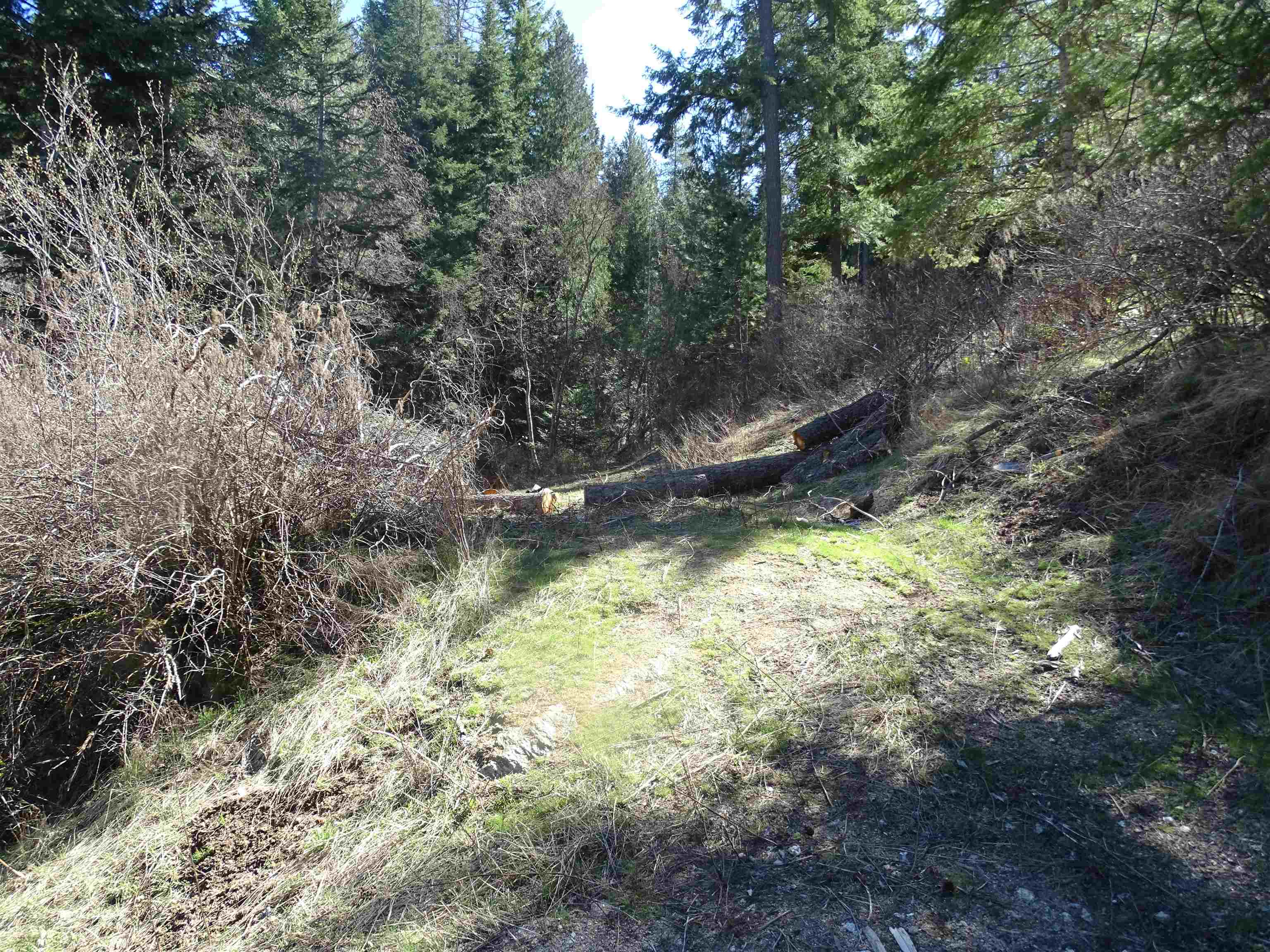 17208 E Blanchard Rd - Photo 15