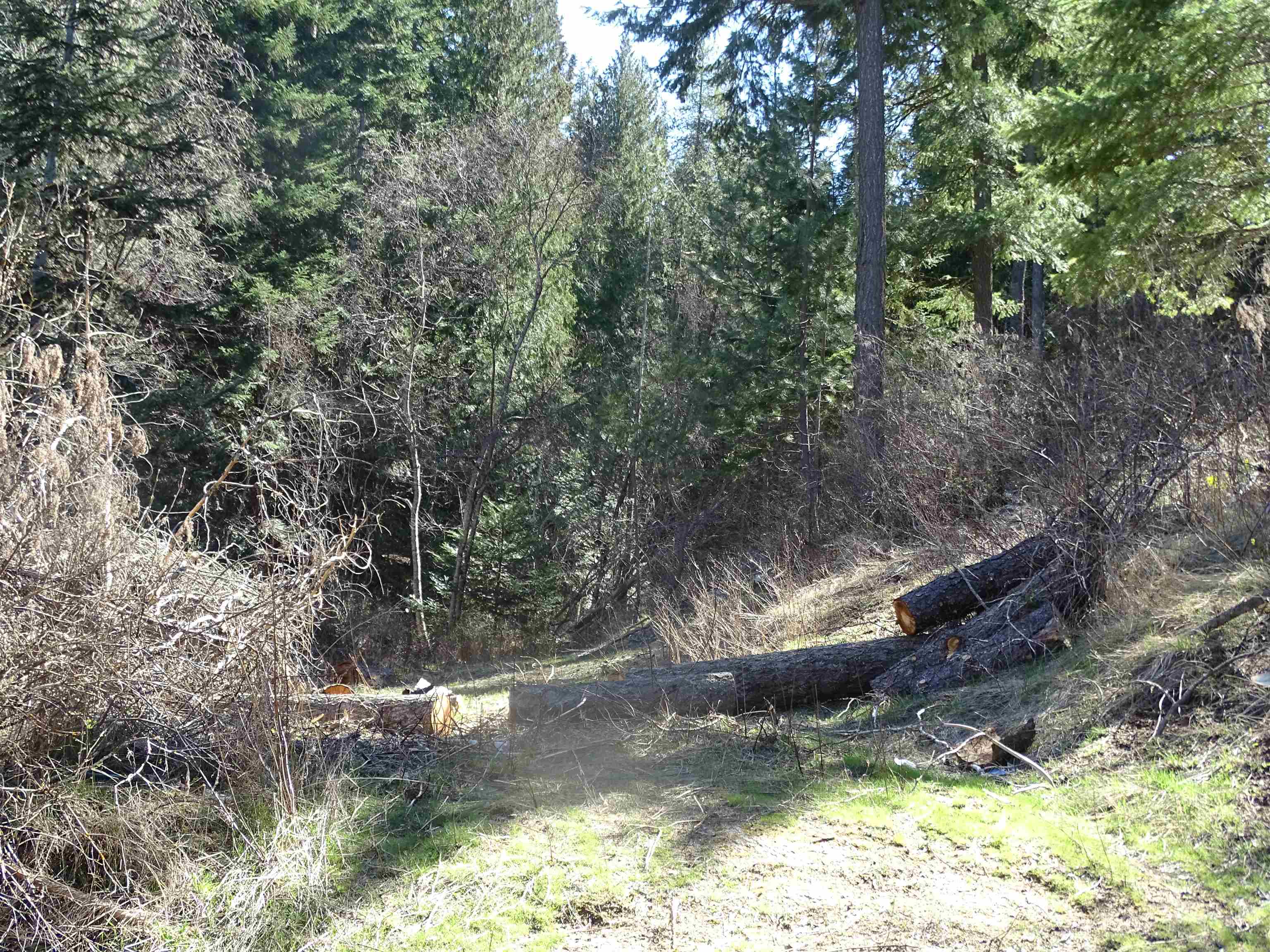 17208 E Blanchard Rd - Photo 16