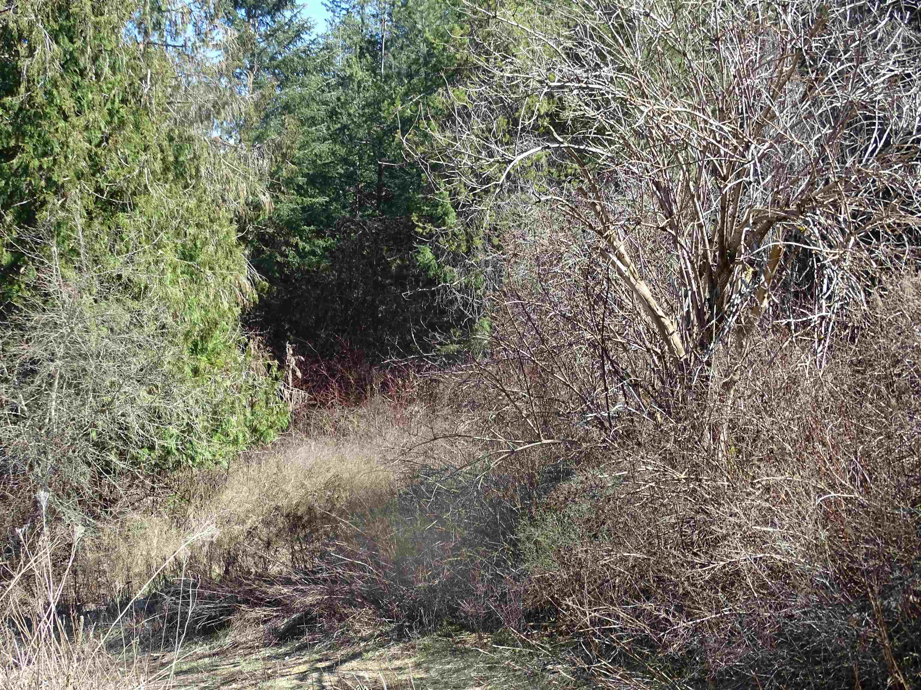 17208 E Blanchard Rd - Photo 18