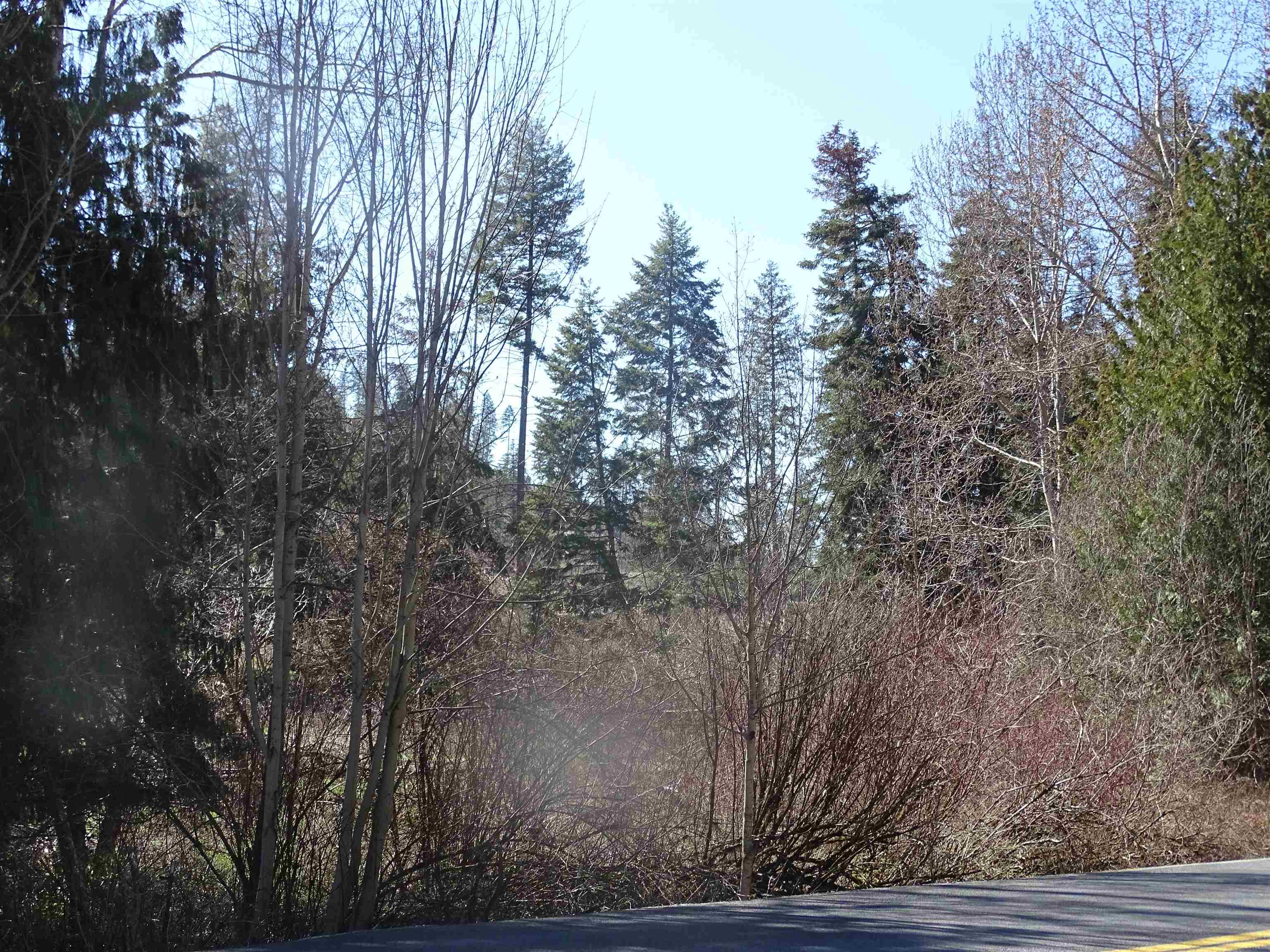17208 E Blanchard Rd - Photo 21