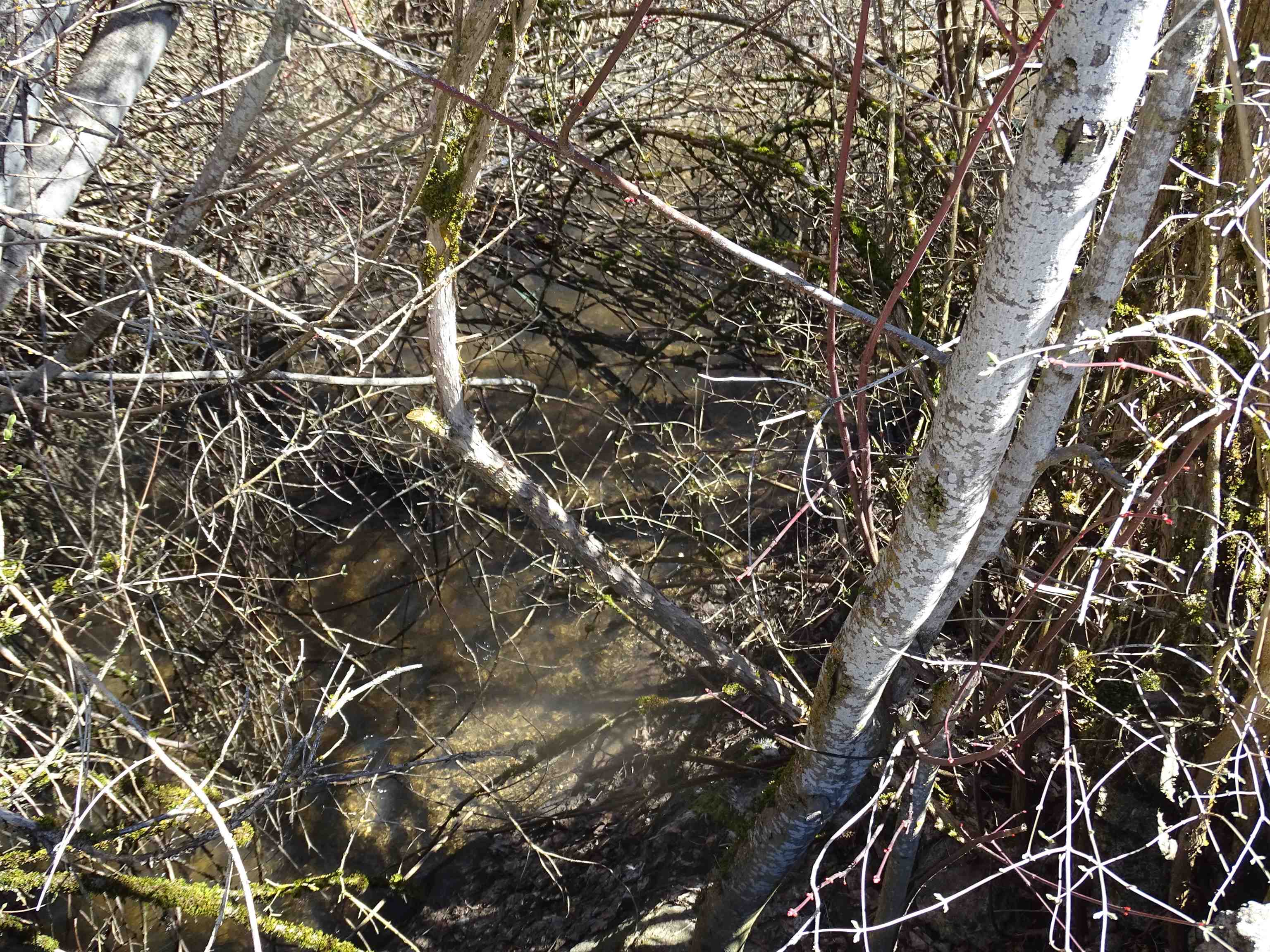 17208 E Blanchard Rd - Photo 24