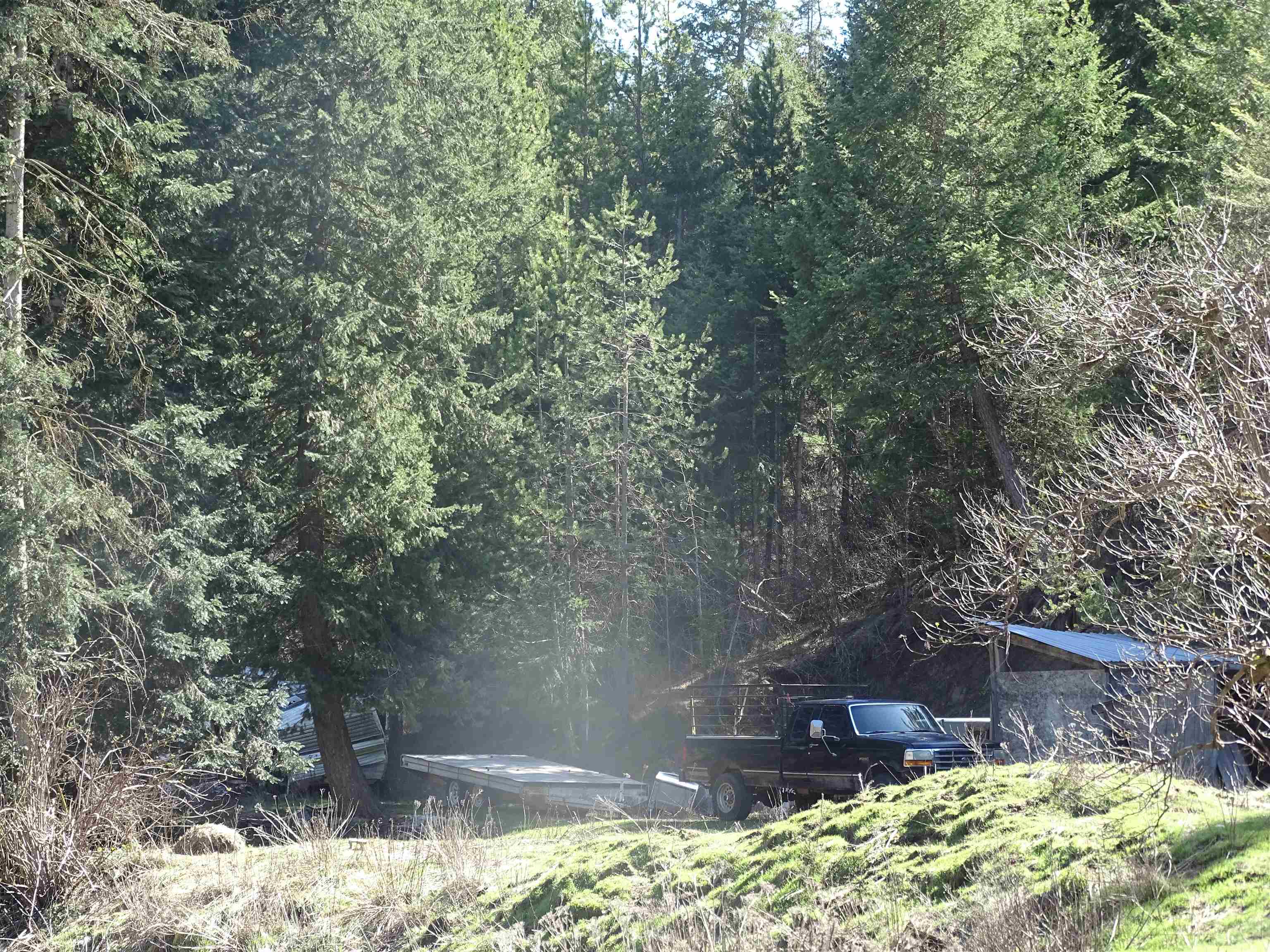 17208 E Blanchard Rd - Photo 30