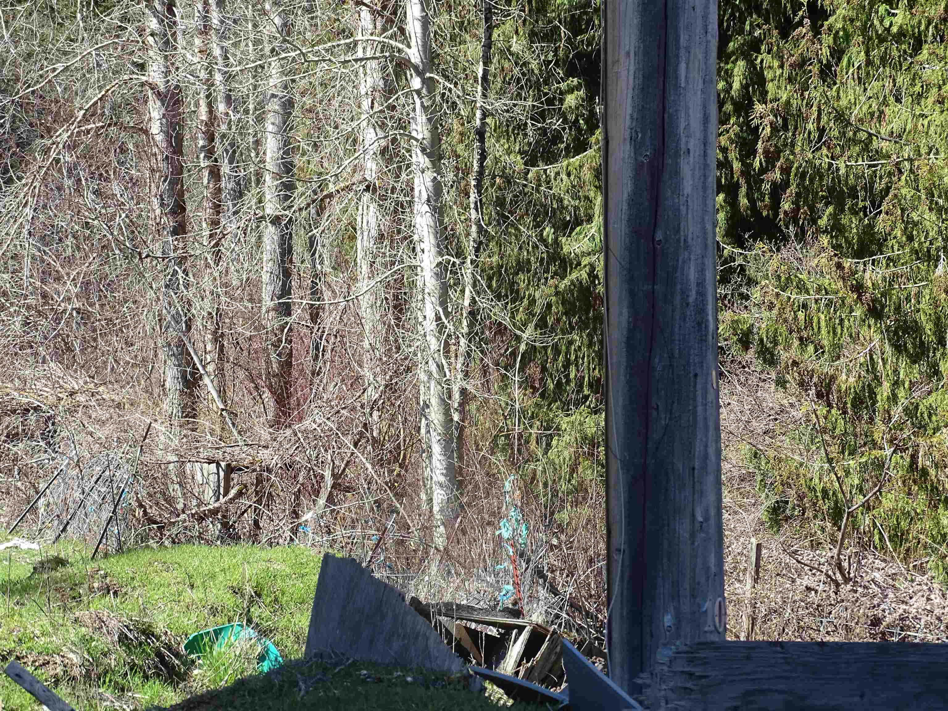 17208 E Blanchard Rd - Photo 31
