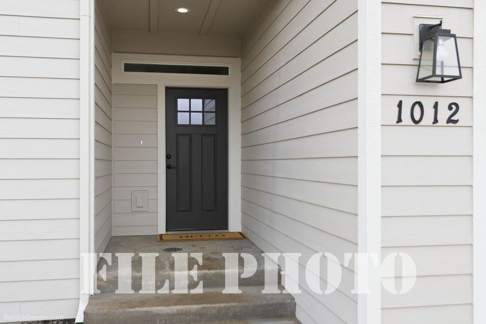 1024 Steptoe View Ln - Photo 2