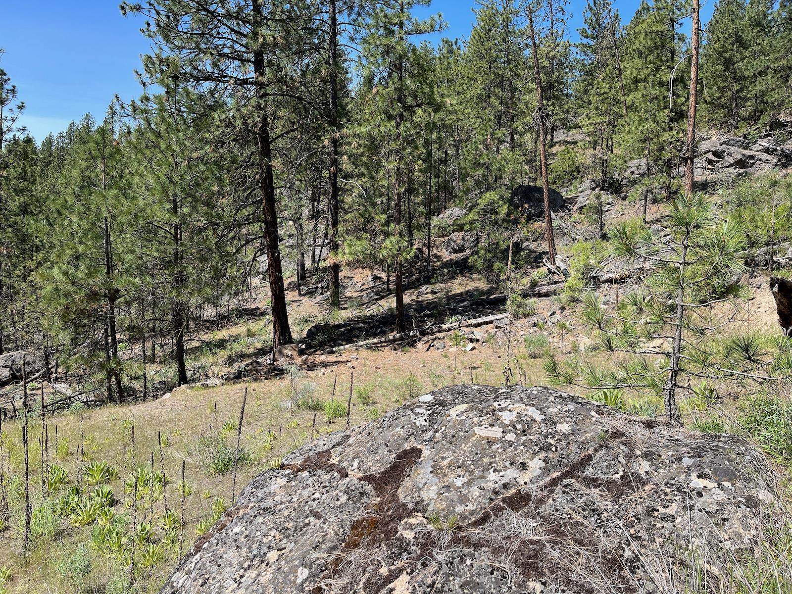 Wapiti 3 Bob White Ln - Photo 14