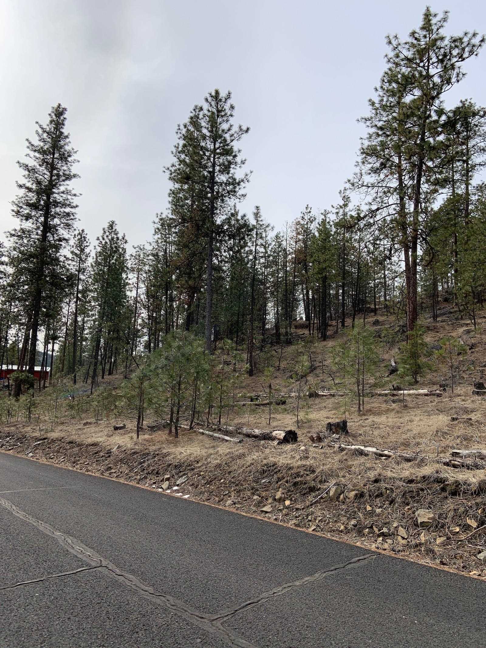 Wapiti 3 Bob White Ln - Photo 16