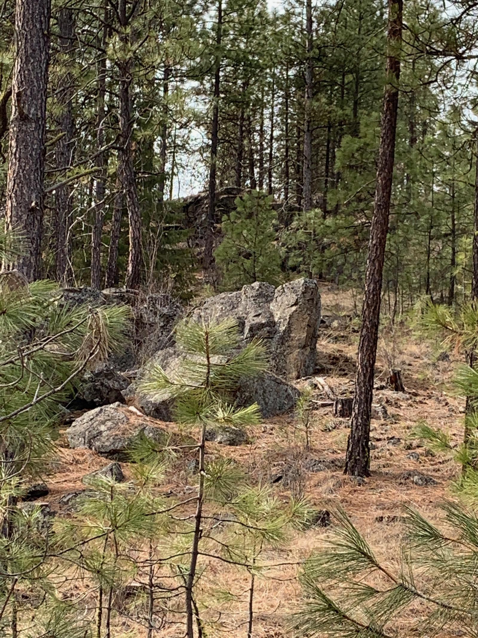 Wapiti 3 Bob White Ln - Photo 17