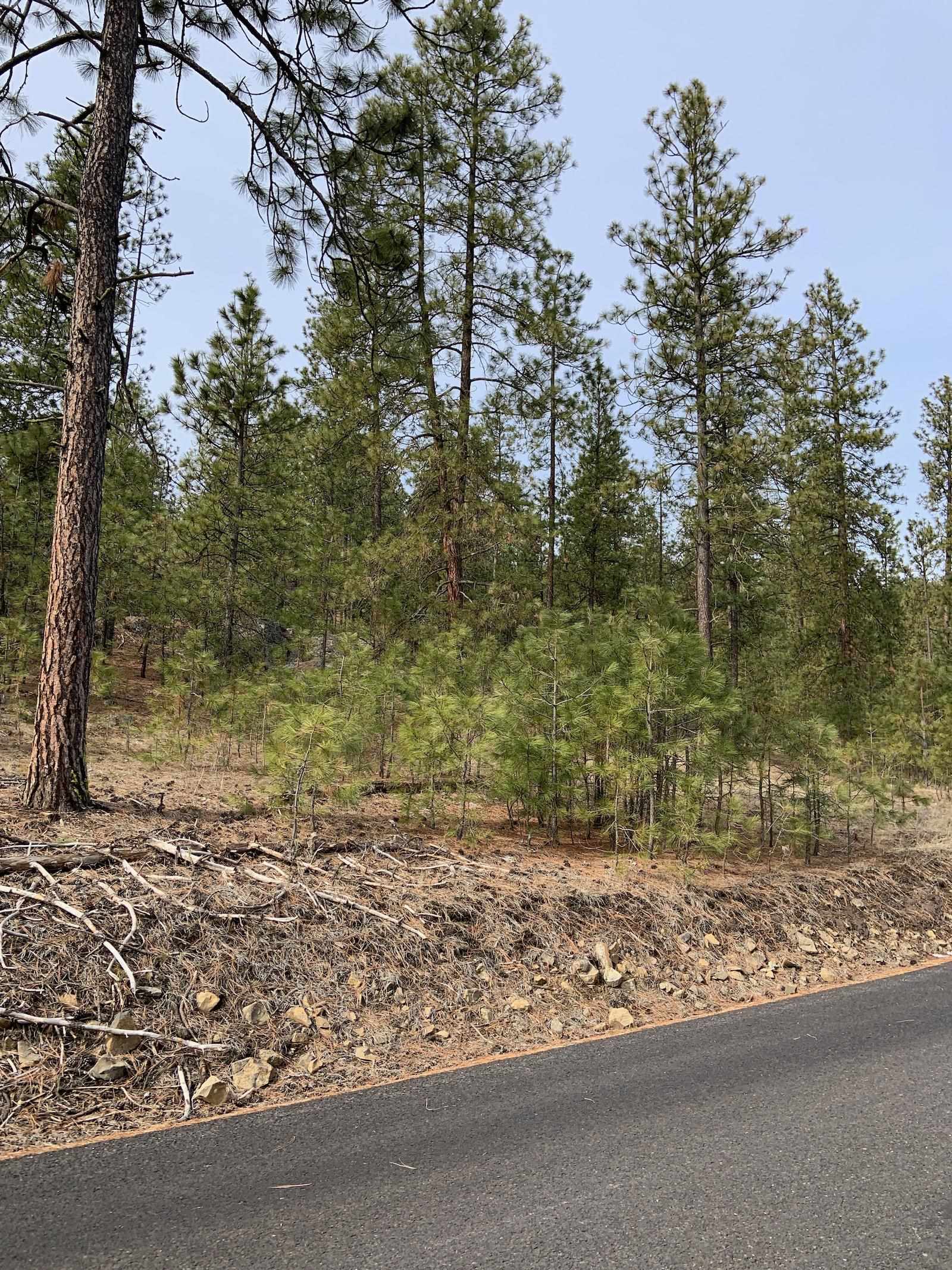 Wapiti 3 Bob White Ln - Photo 18