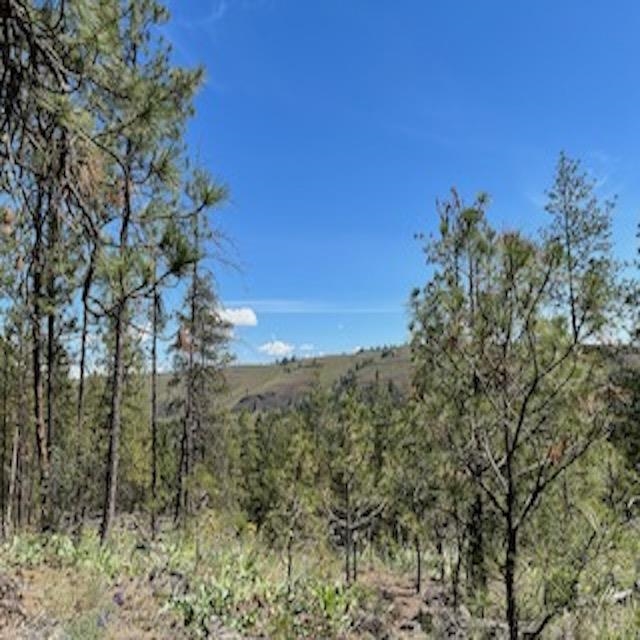 Wapiti 3 Bob White Ln - Photo 19