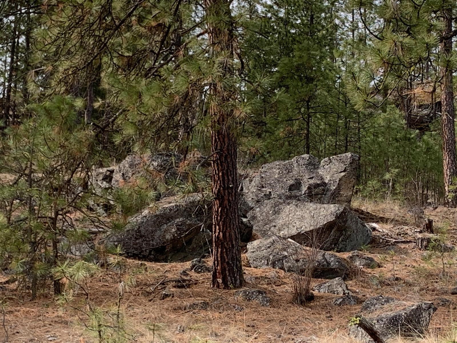 Wapiti 3 Bob White Ln - Photo 20