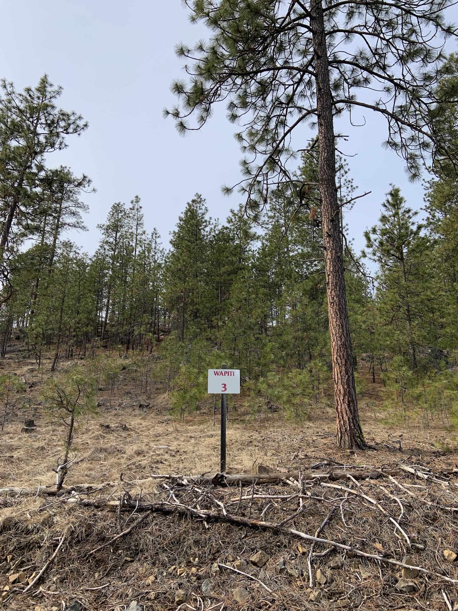 Wapiti 3 Bob White Ln - Photo 21