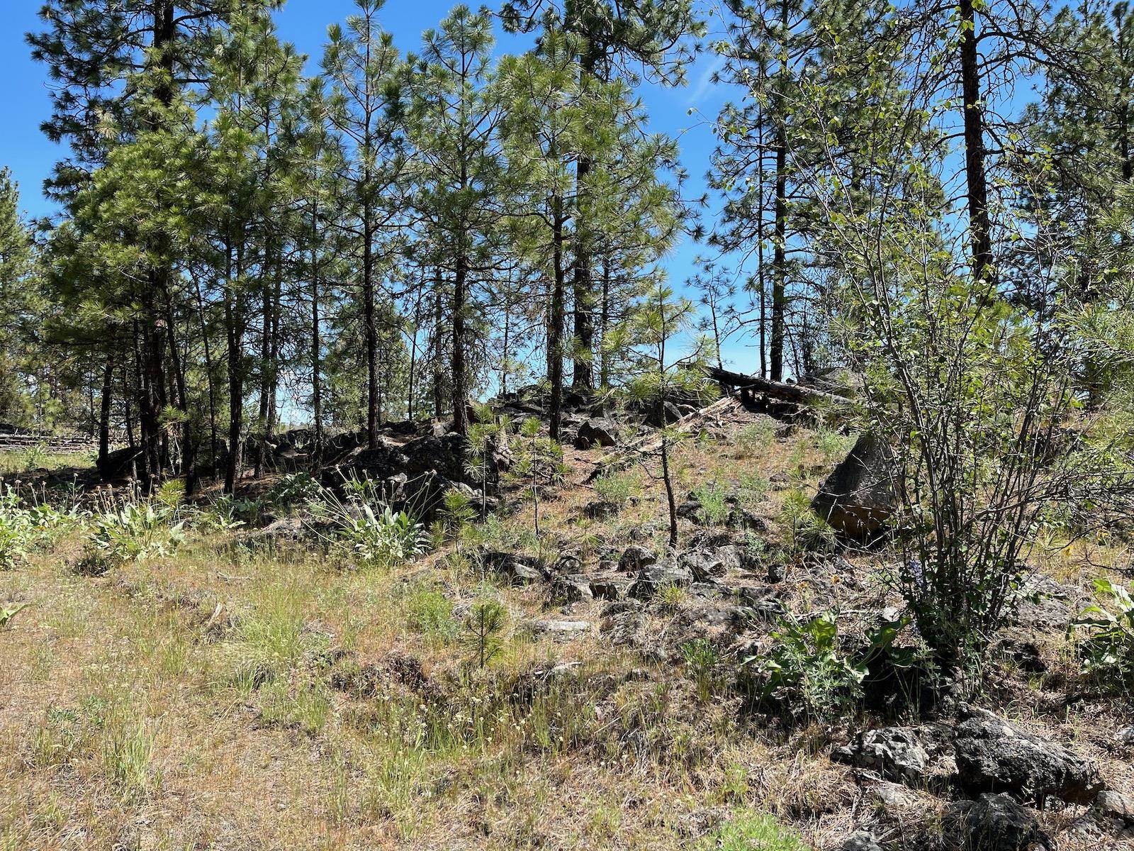 Wapiti 3 Bob White Ln - Photo 10