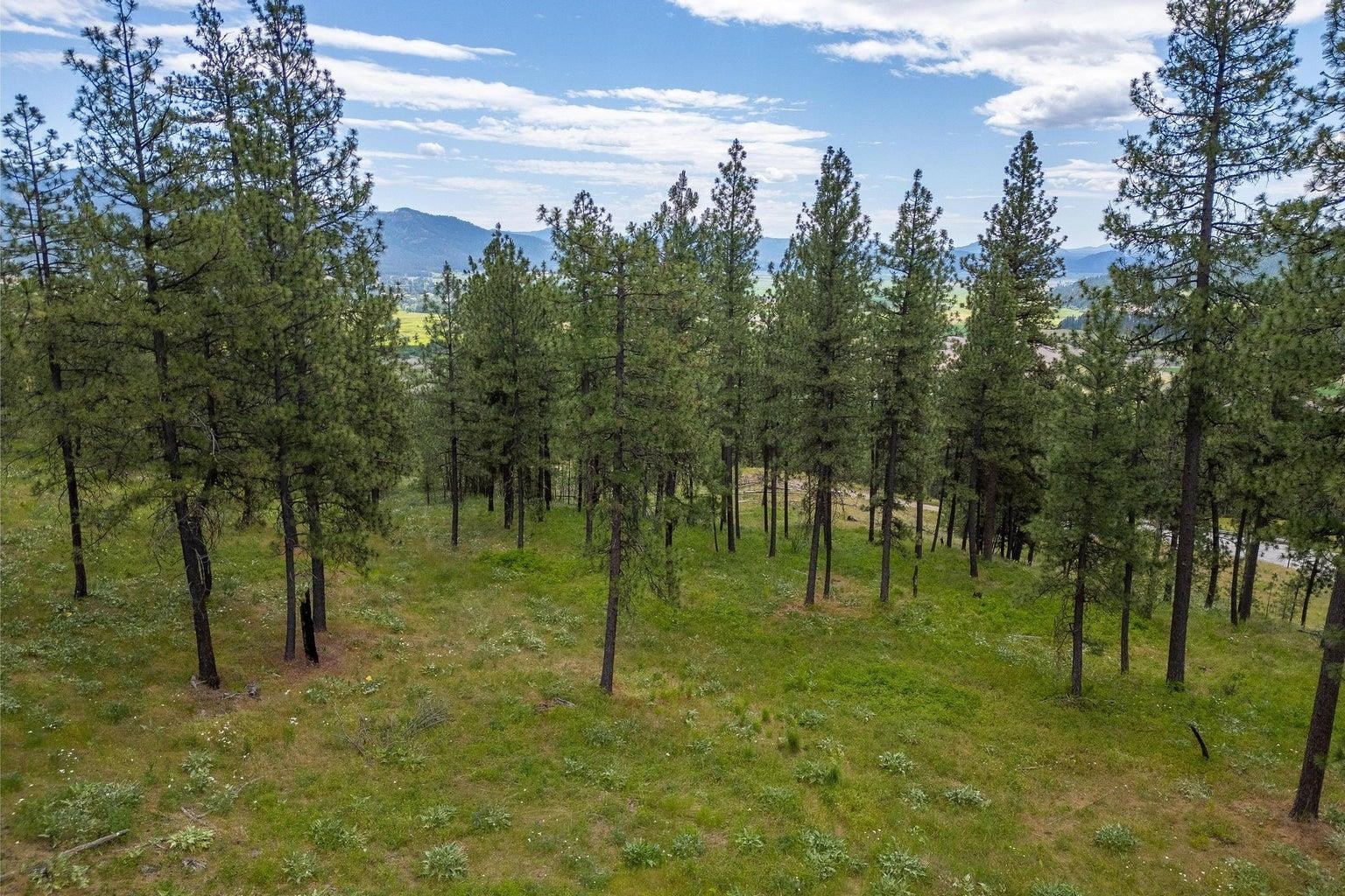 1612 Palmer Loop - Photo 2
