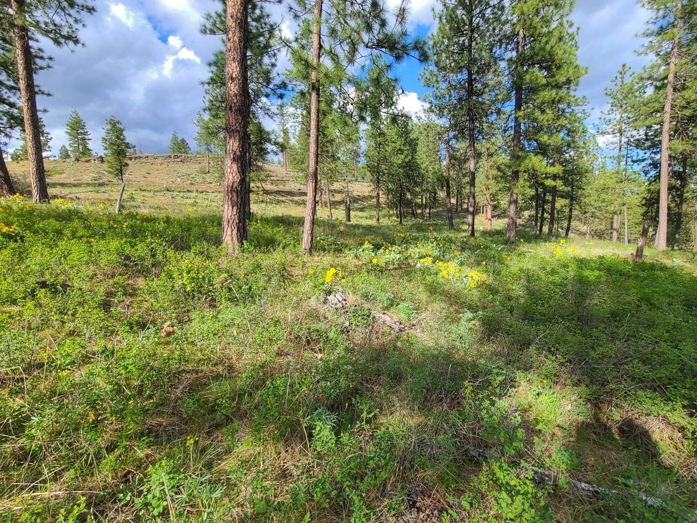 1612 Palmer Loop - Photo 13