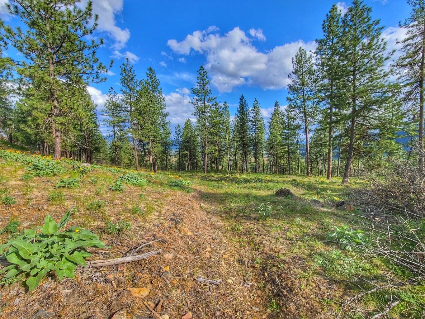1612 Palmer Loop - Photo 14