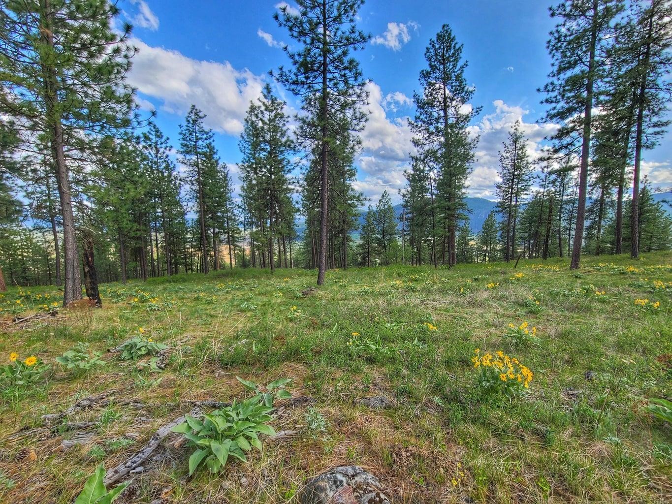 1612 Palmer Loop - Photo 15