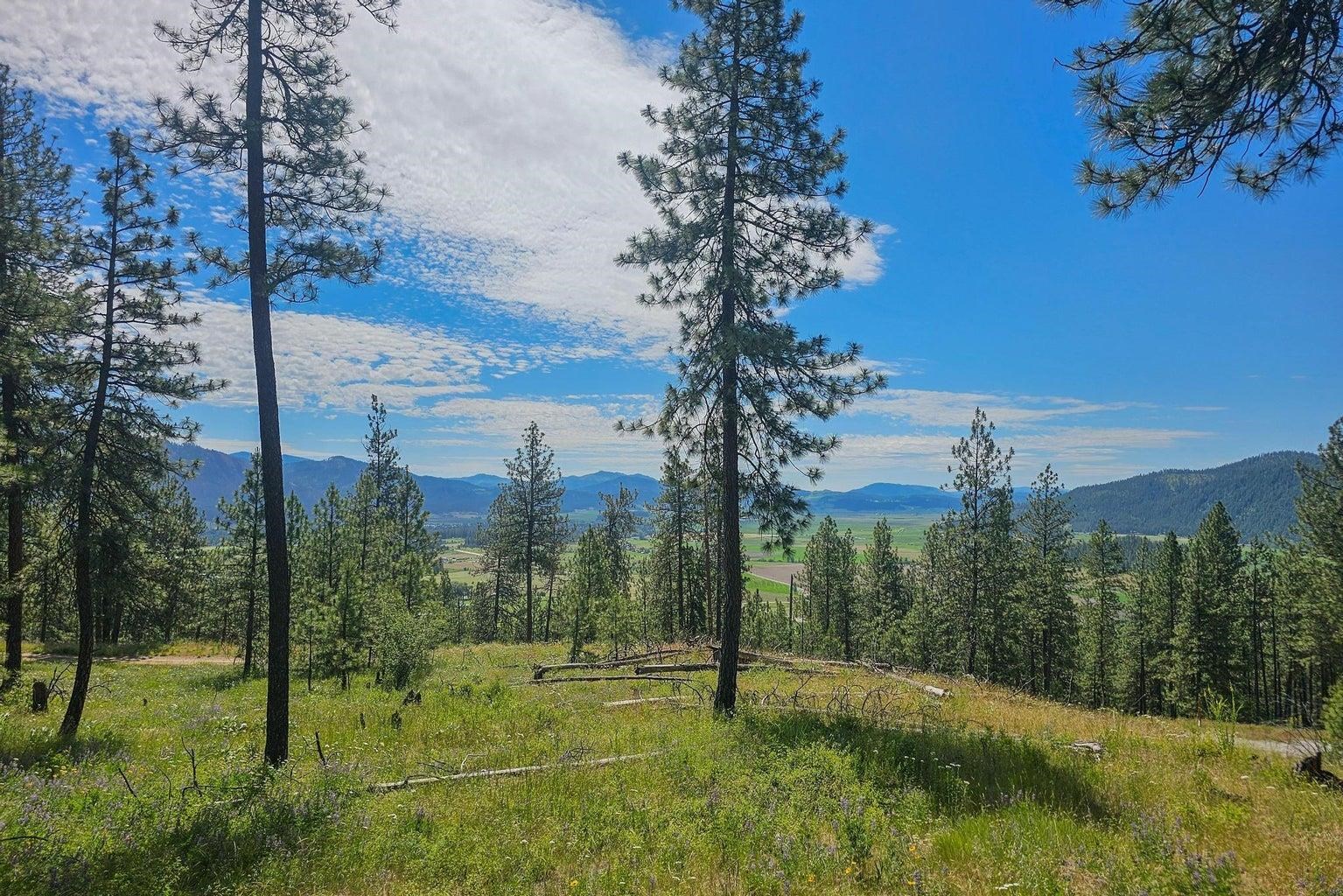 1612 Palmer Loop - Photo 18