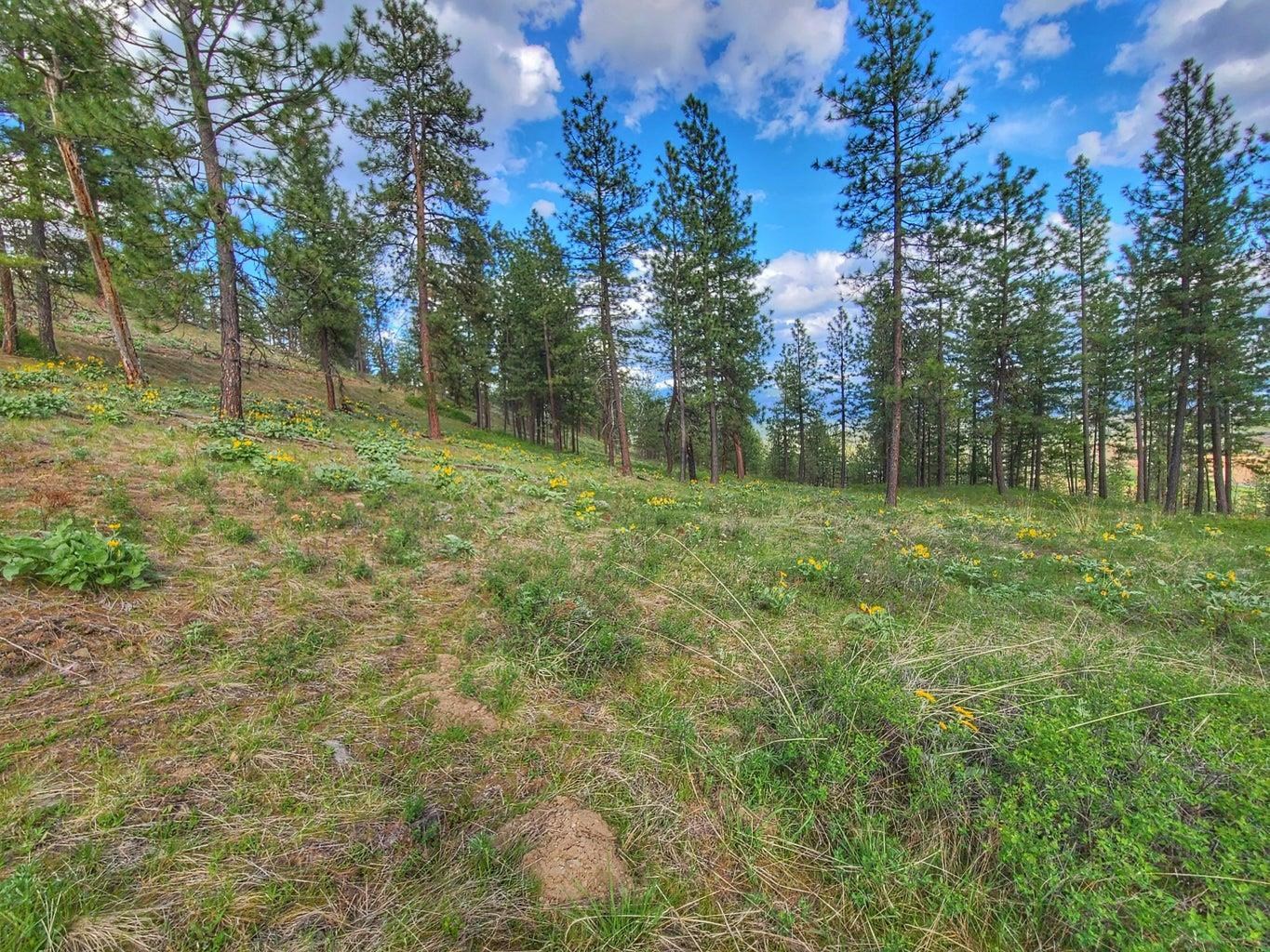 1612 Palmer Loop - Photo 3