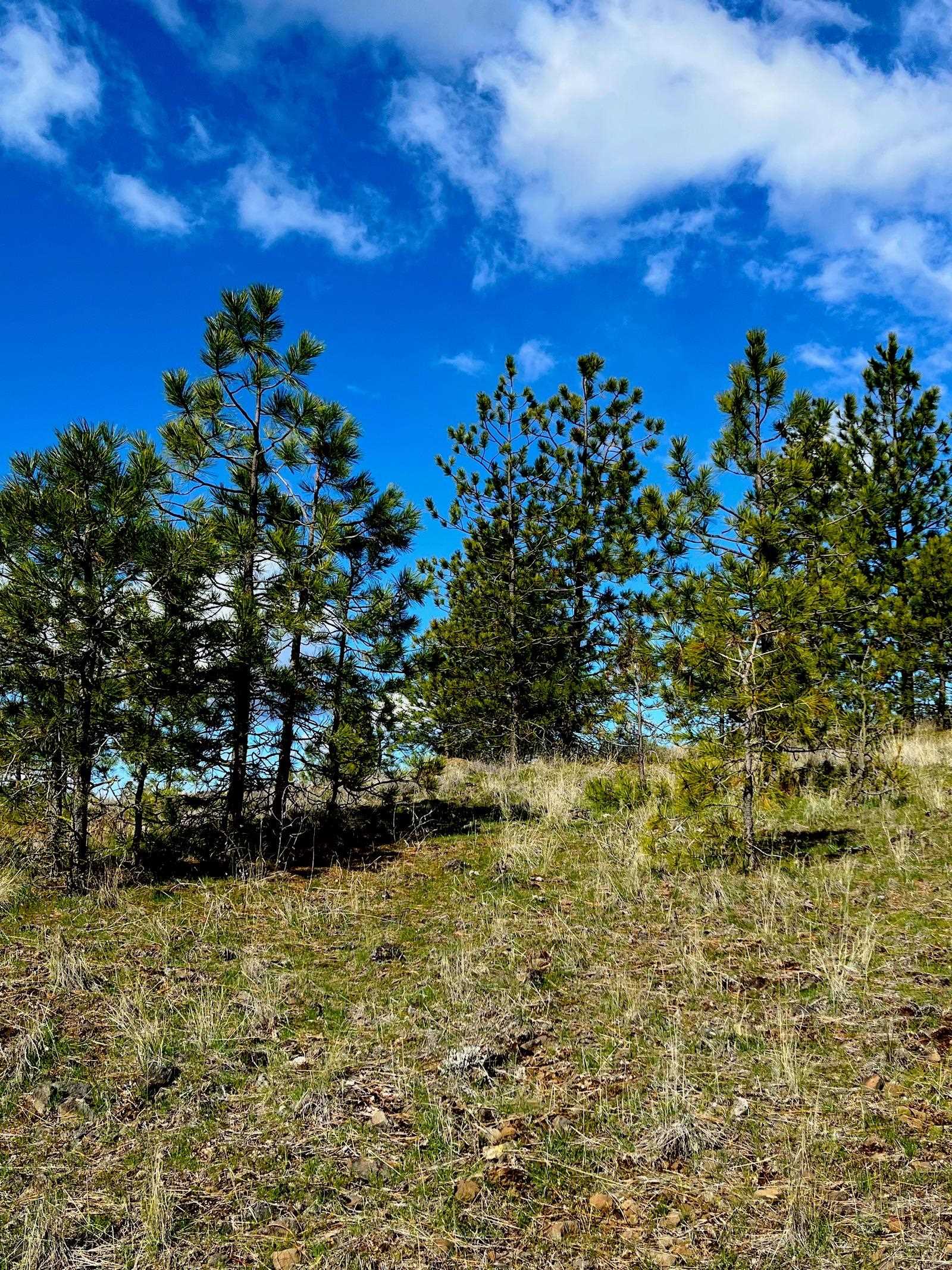 34430 Partridge N Ln - Photo 9