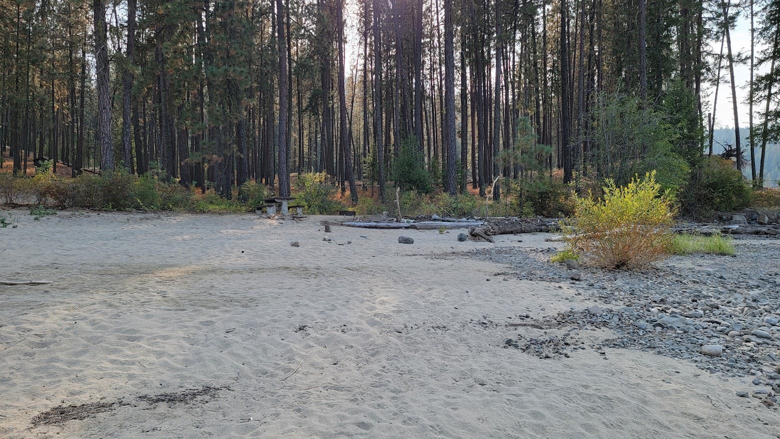 6237 Deer Tracks Way - Photo 15
