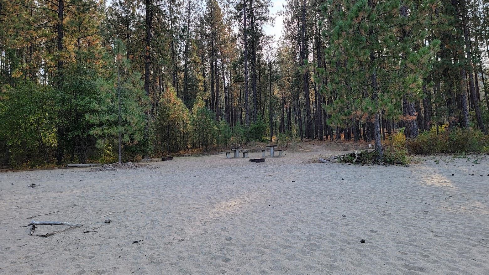 6237 Deer Tracks Way - Photo 16