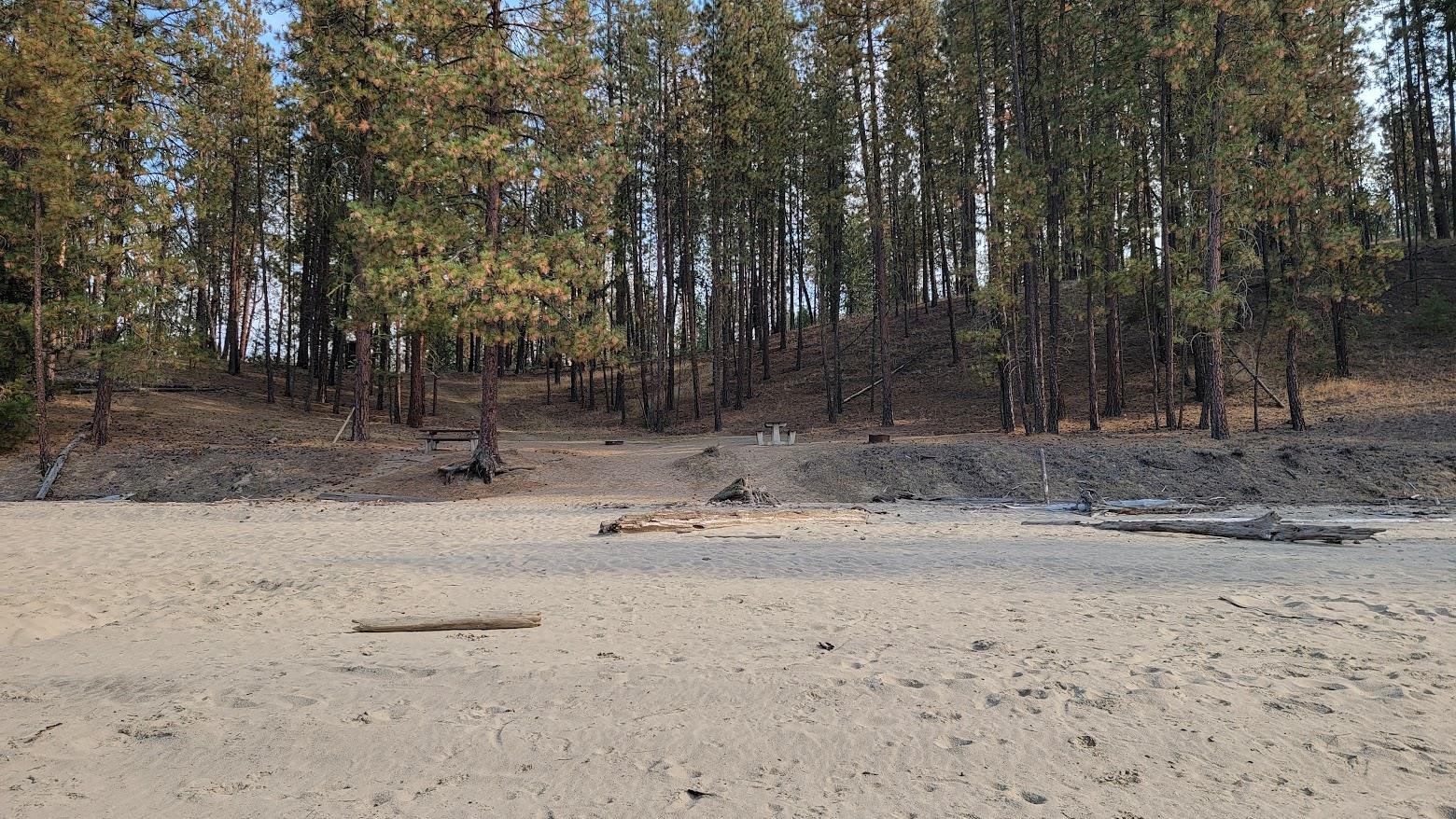 6237 Deer Tracks Way - Photo 21