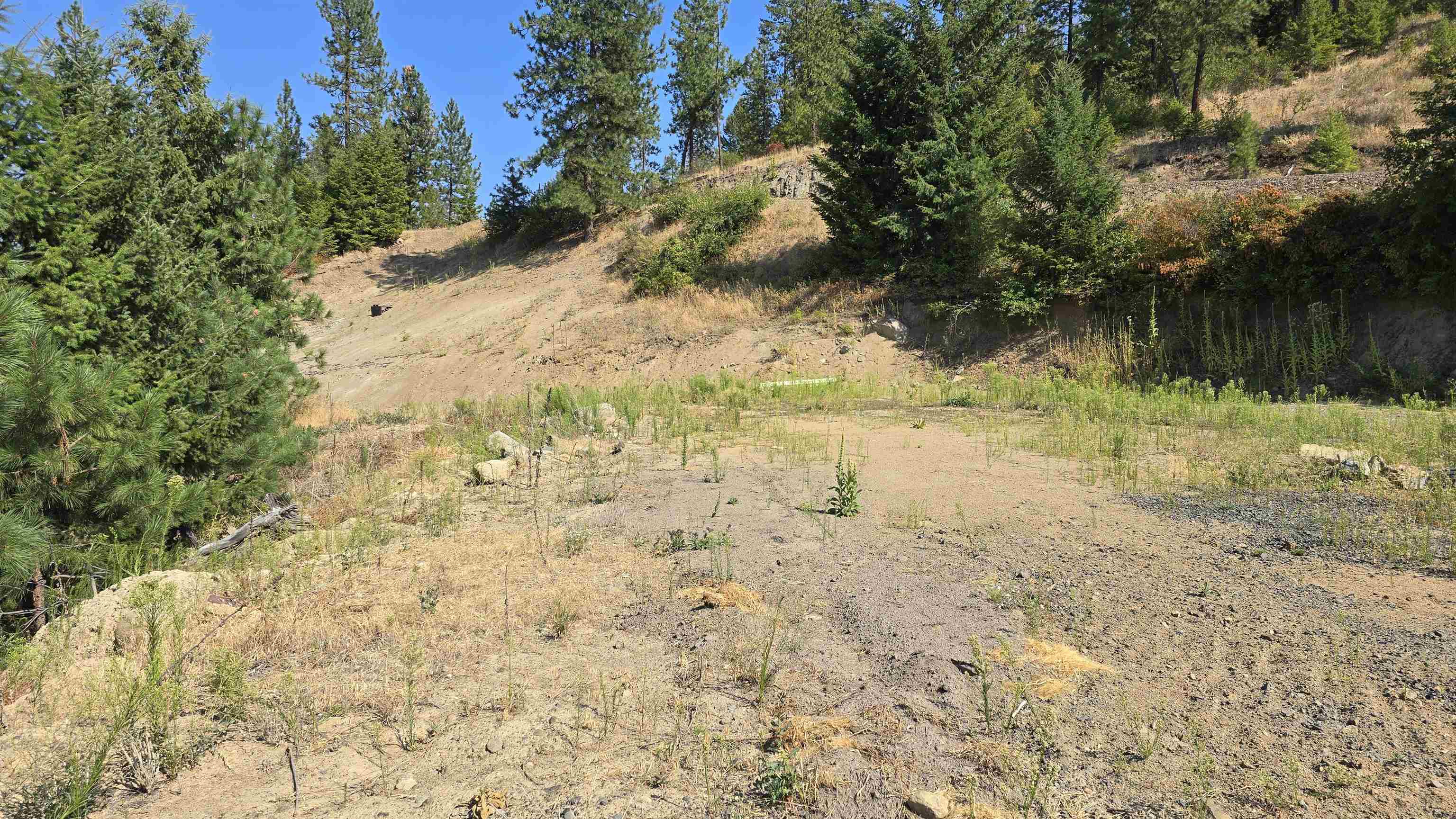 6237 Deer Tracks Way - Photo 5