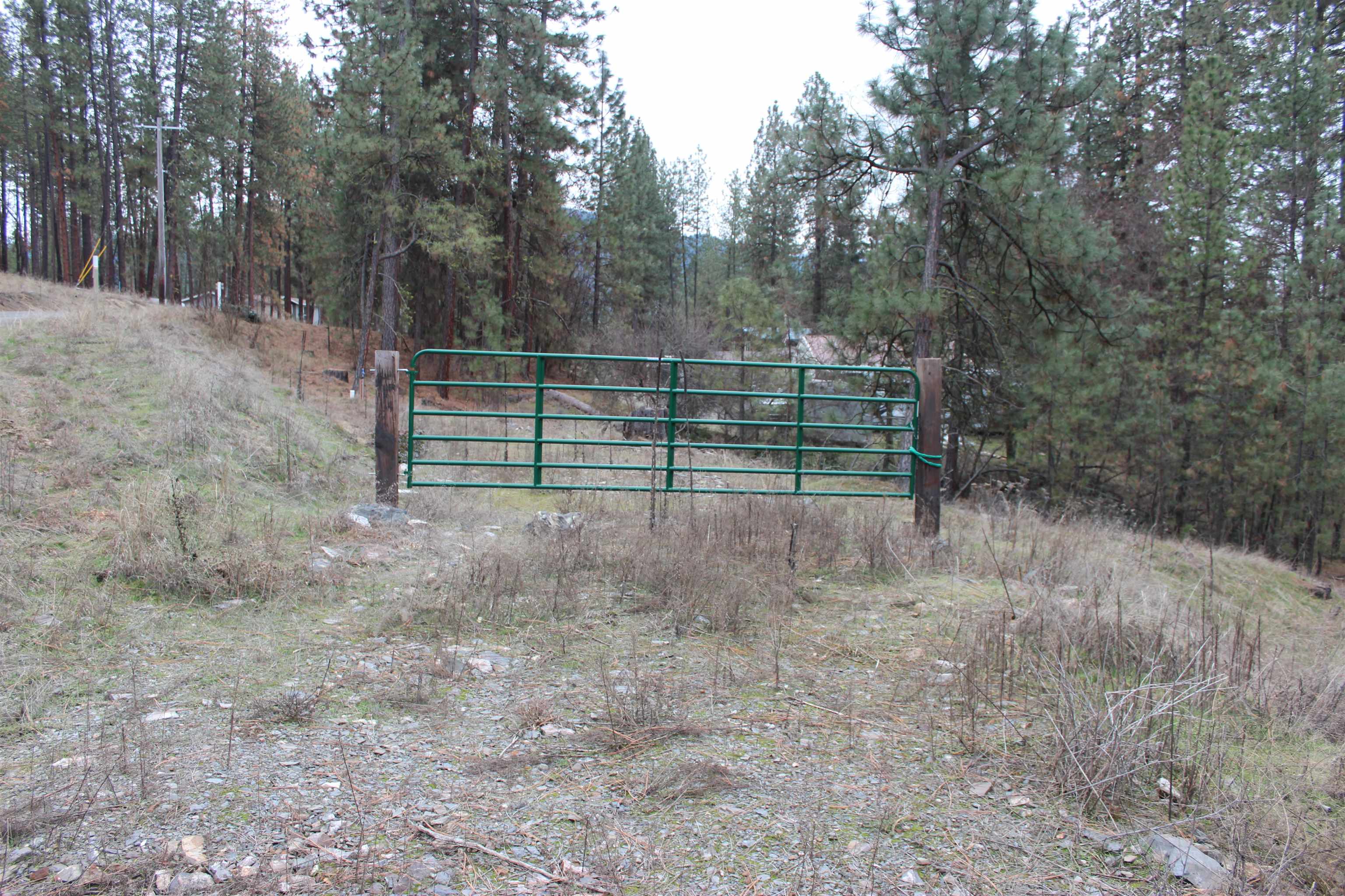 1477L College Ln - Photo 3