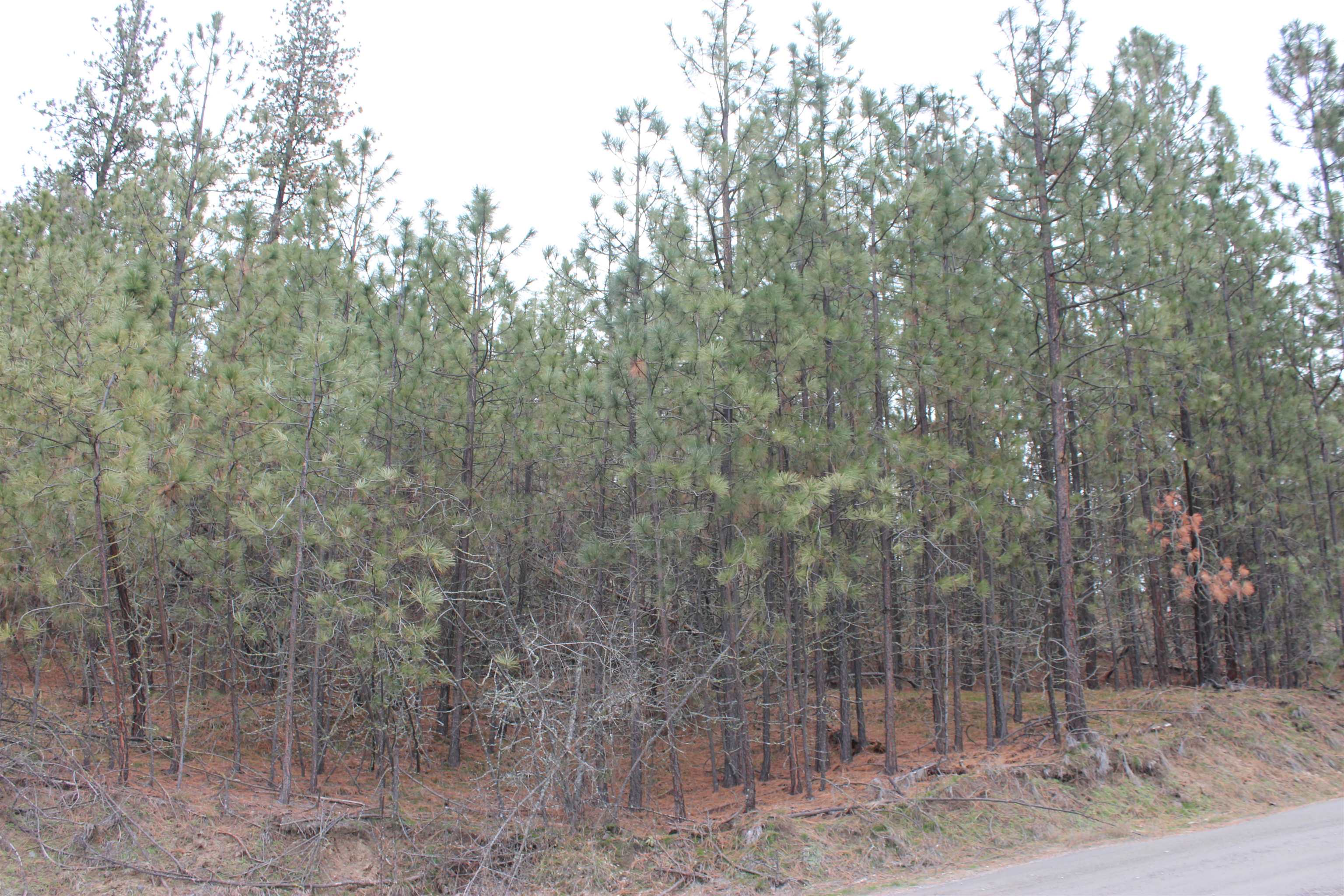 1477L College Ln - Photo 4