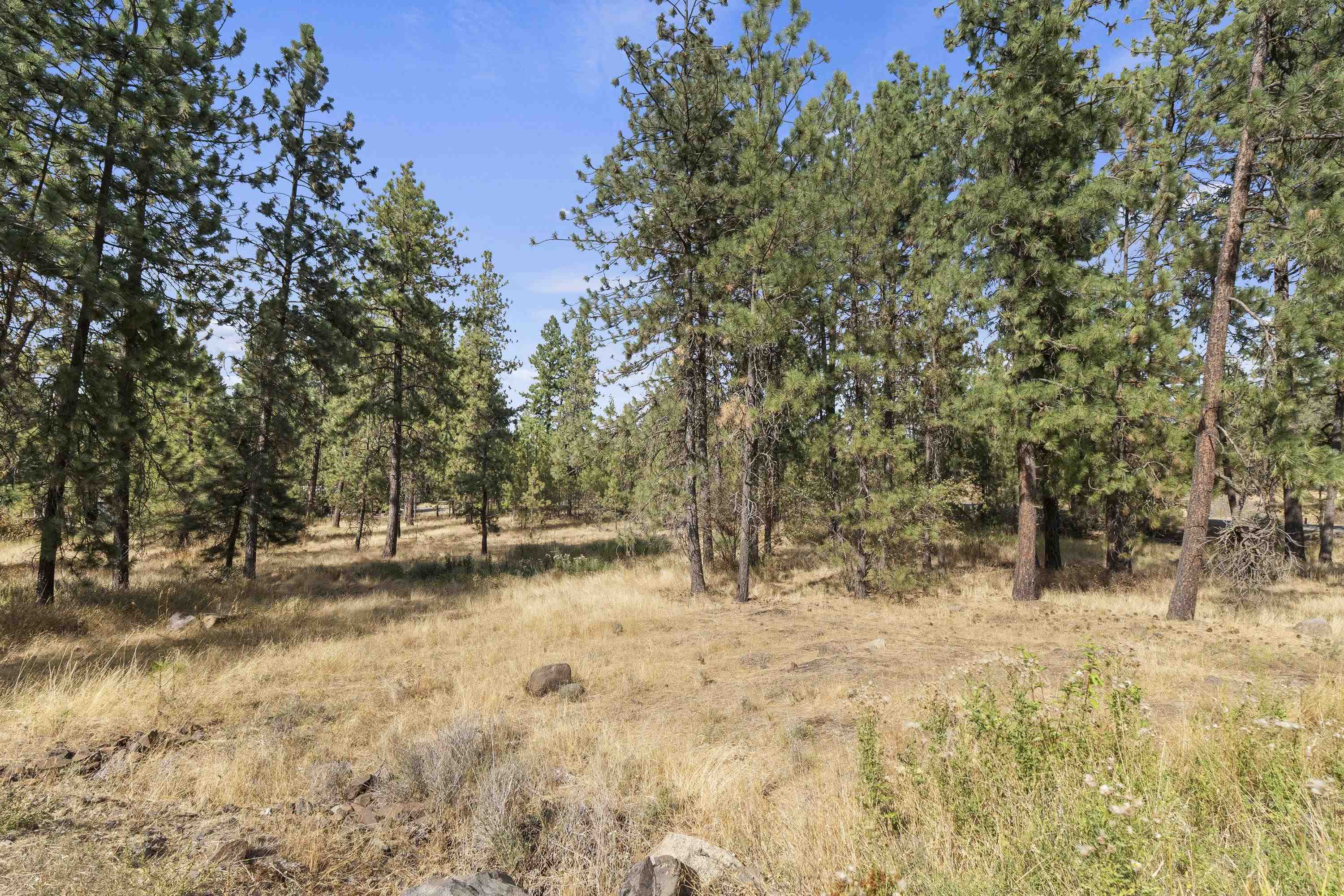 5818 S Abbott Rd - Photo 46