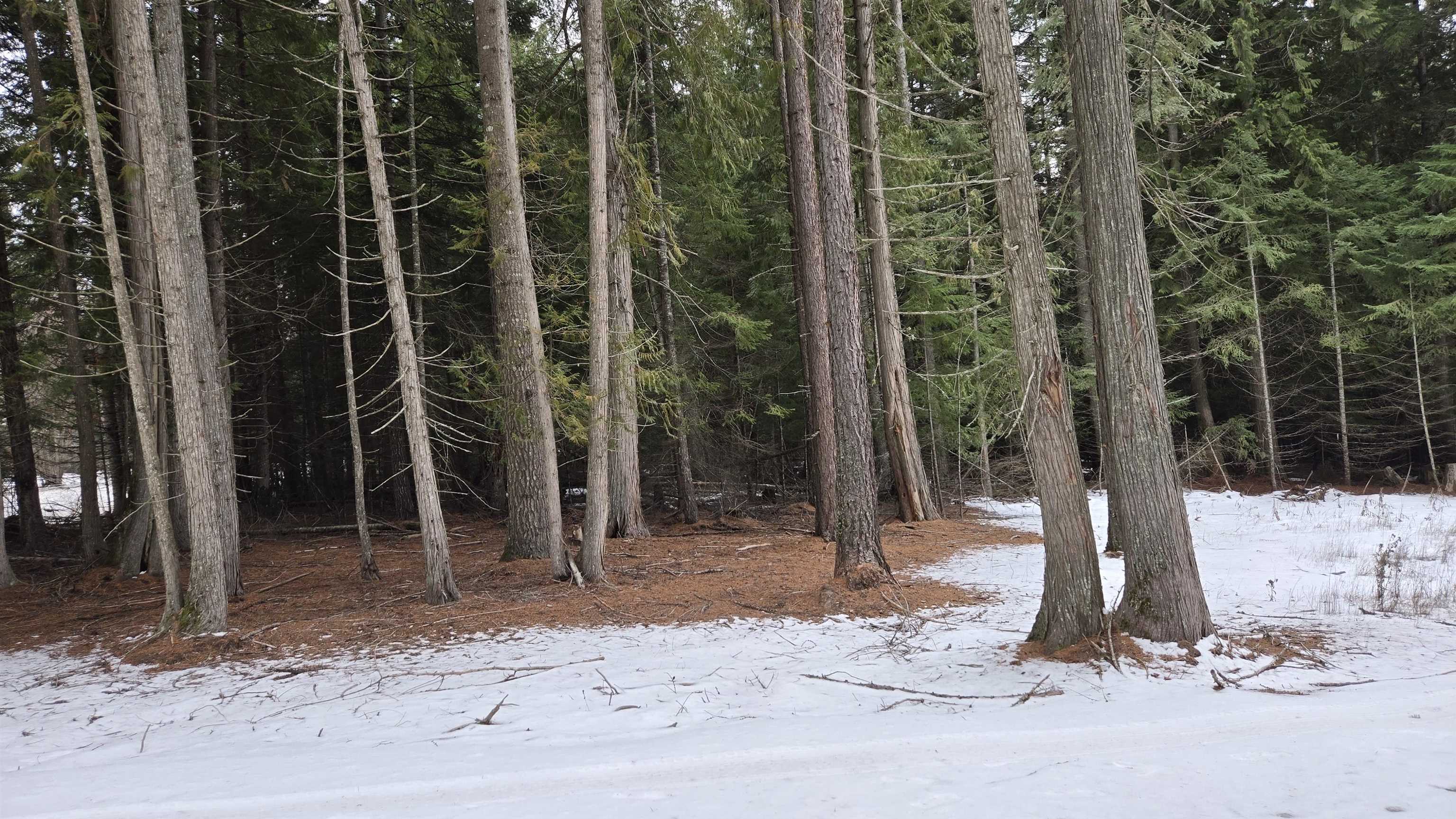 10401 N LeClerc Rd - Photo 11