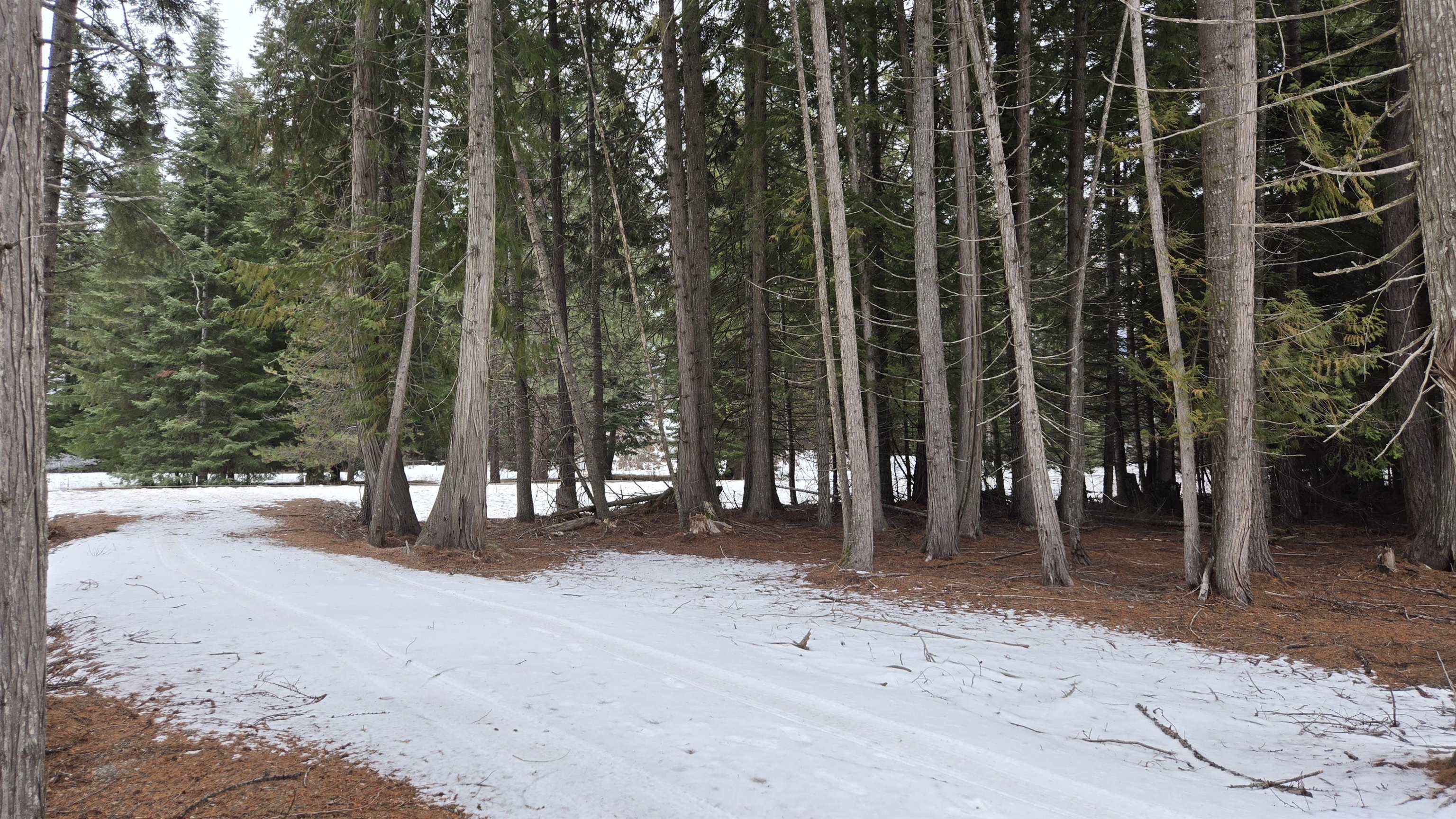 10401 N LeClerc Rd - Photo 12