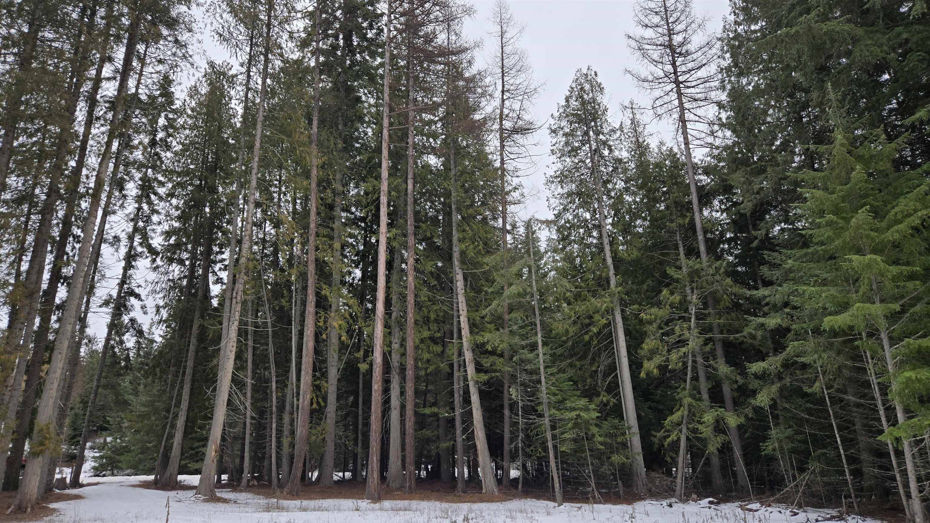 10401 N LeClerc Rd - Photo 19