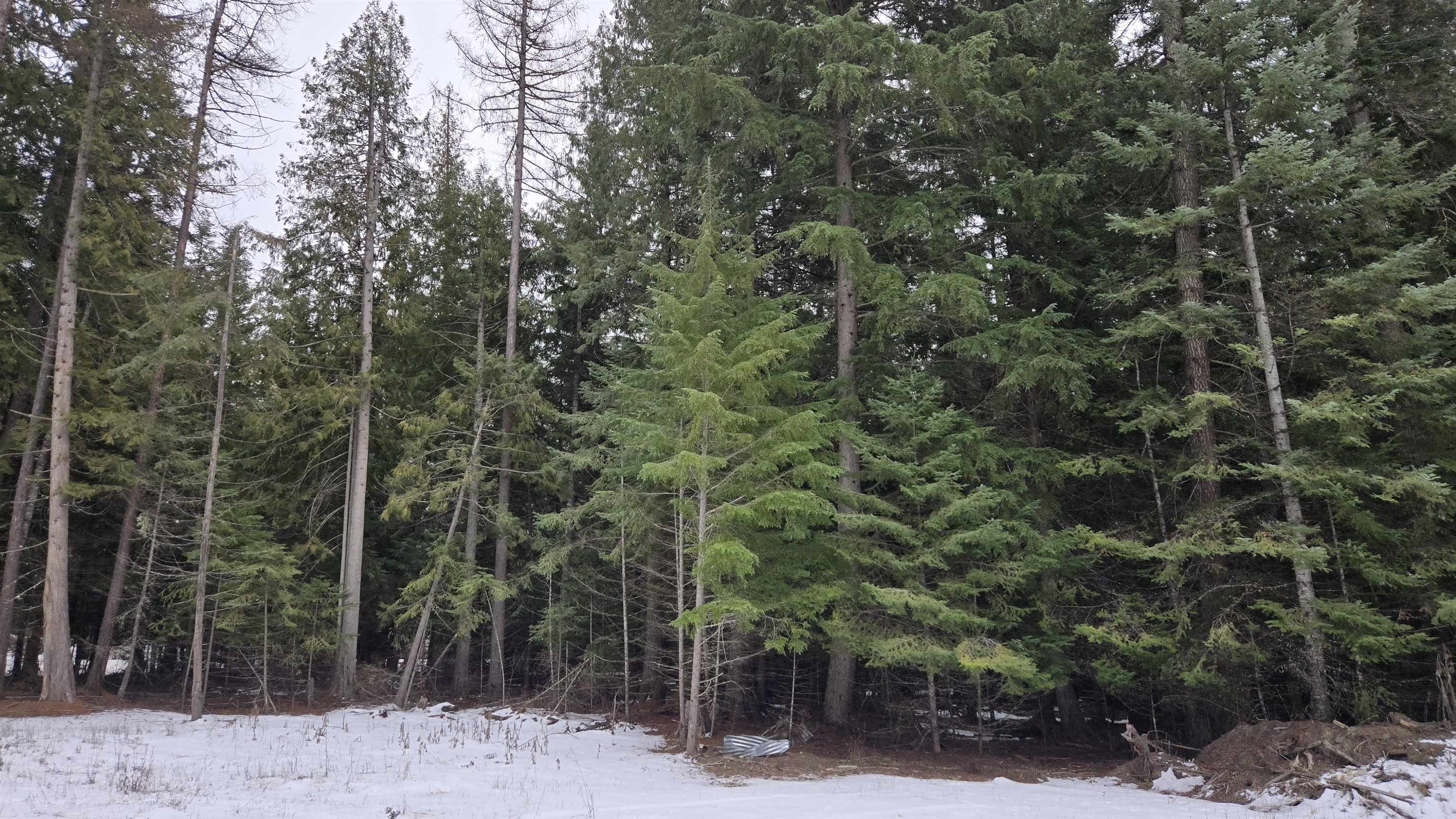 10401 N LeClerc Rd - Photo 21