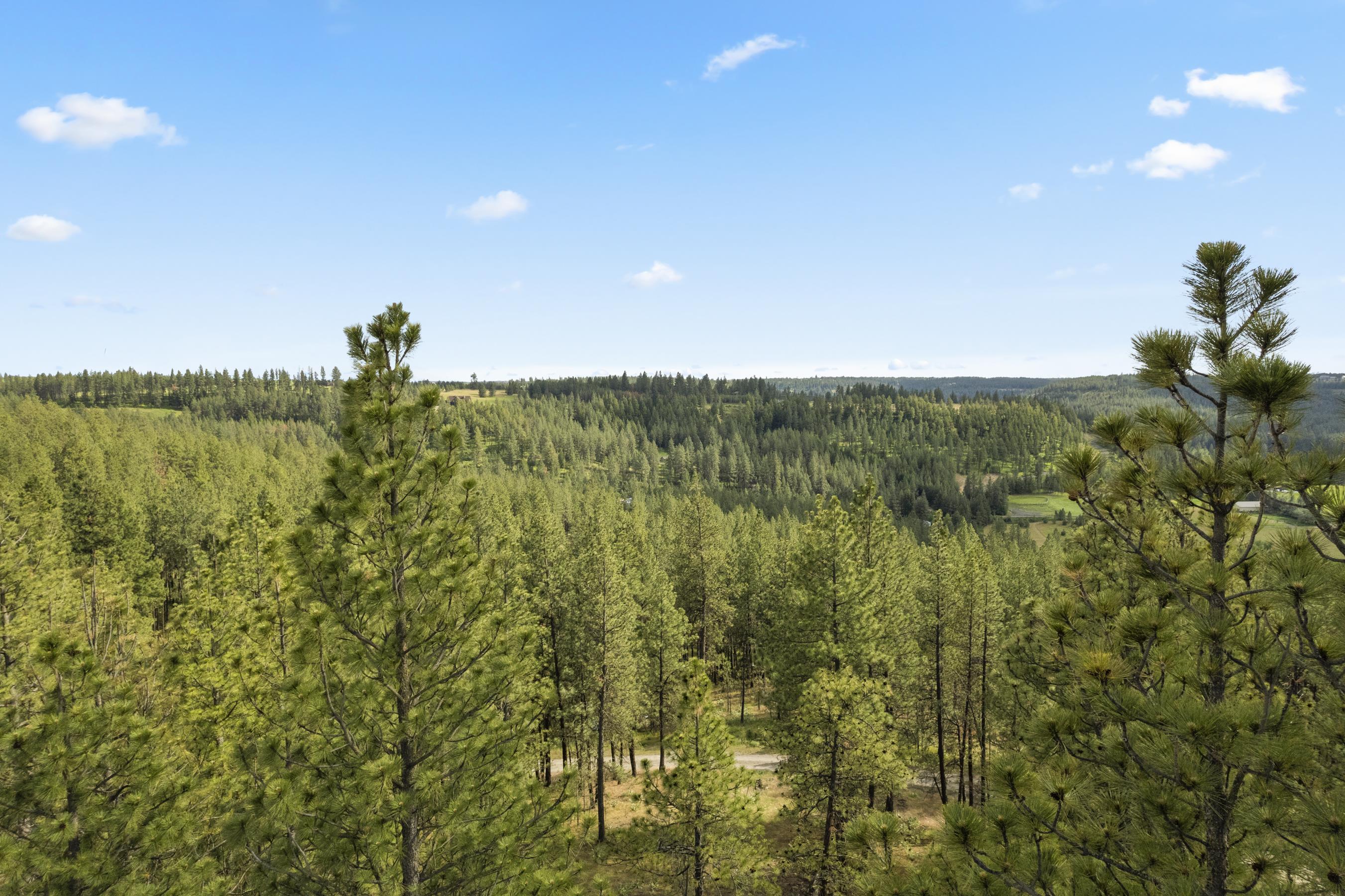 13853 S Serenity Ln - Photo 16