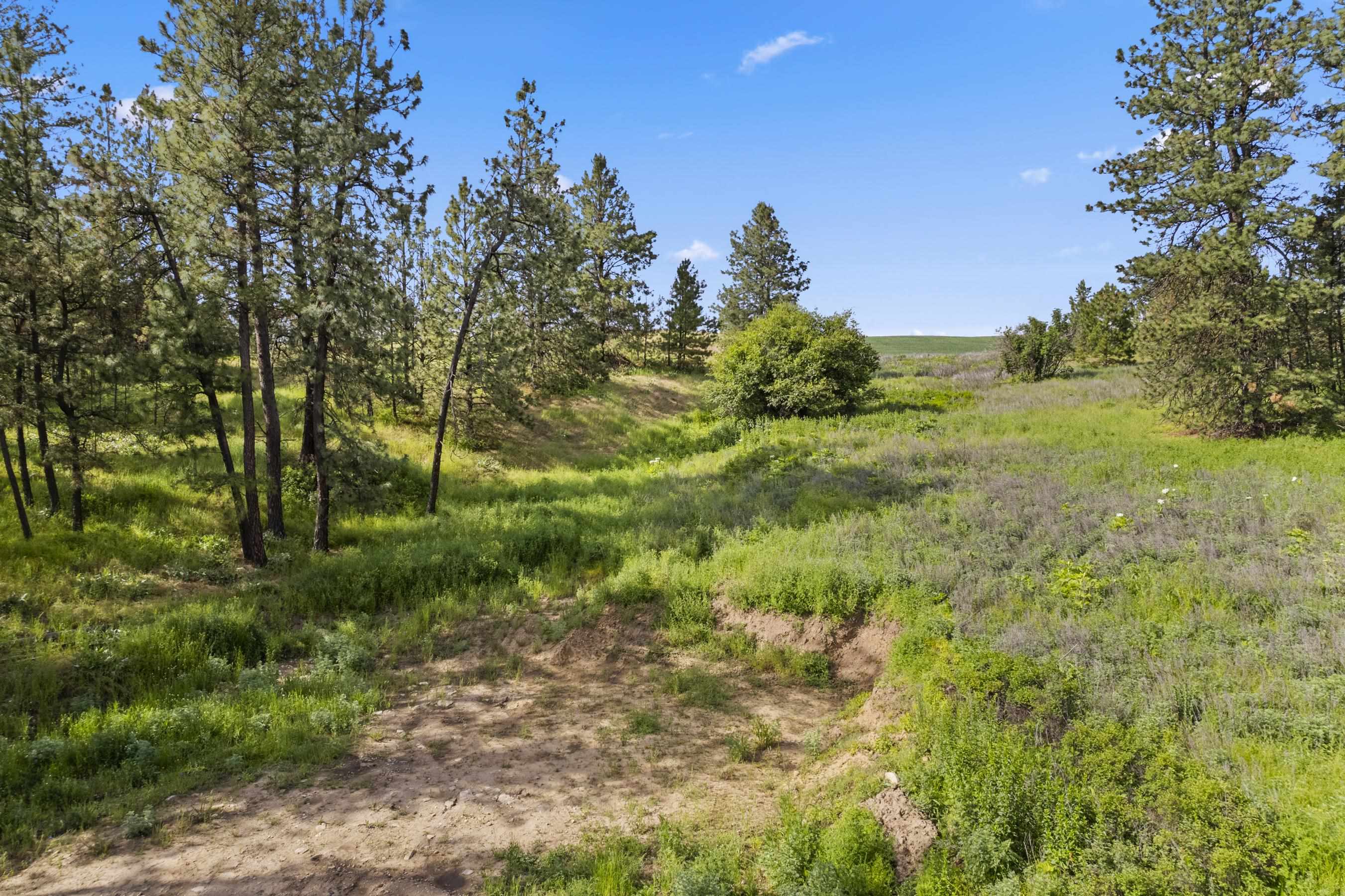 13853 S Serenity Ln - Photo 21
