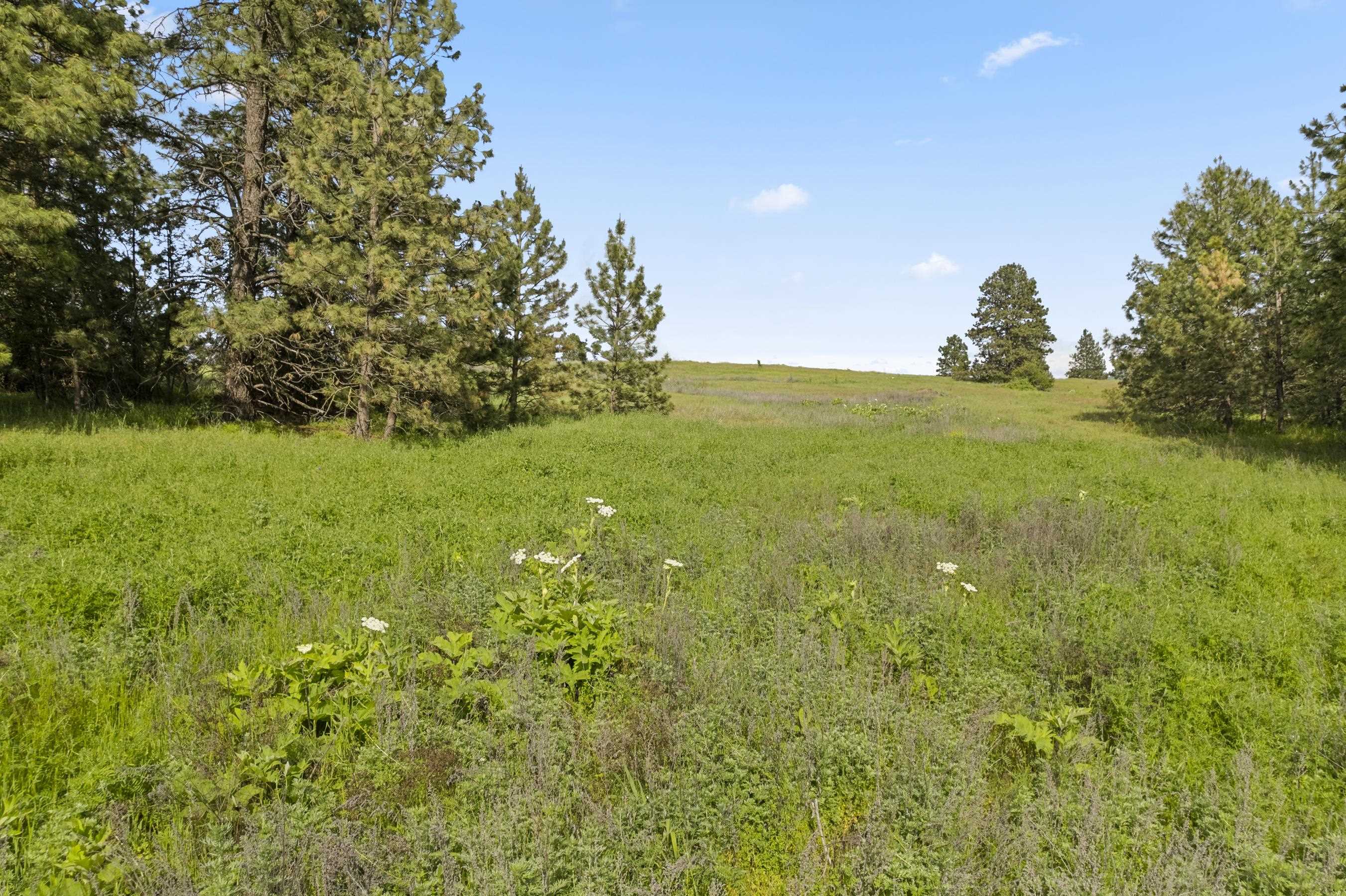 13853 S Serenity Ln - Photo 23