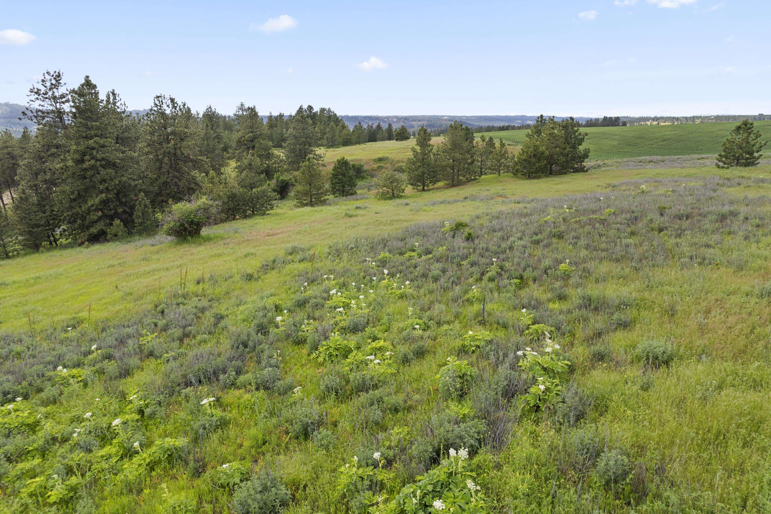 13853 S Serenity Ln - Photo 24